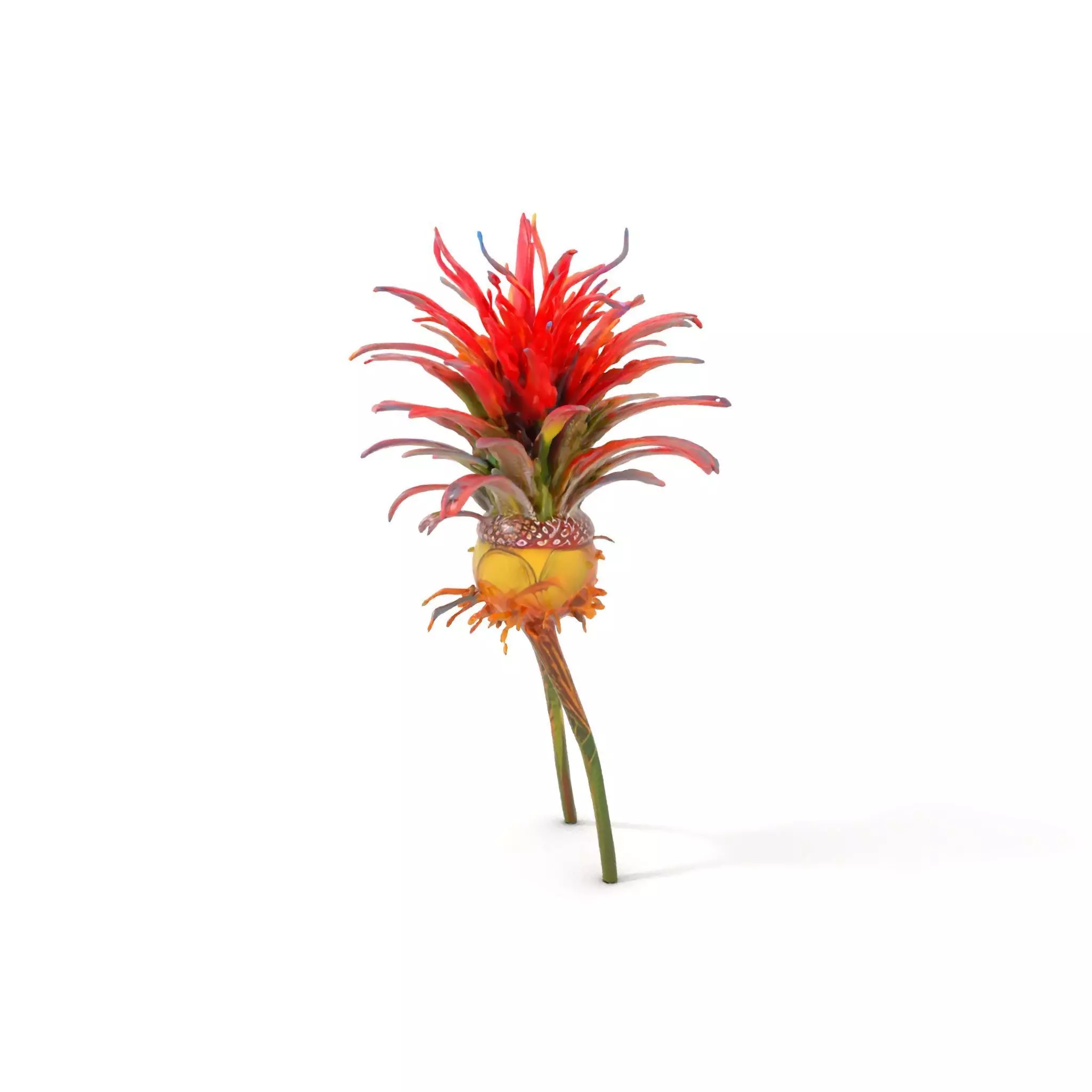 Exotic Fiery Plant model pack Low-poly 3D model_6