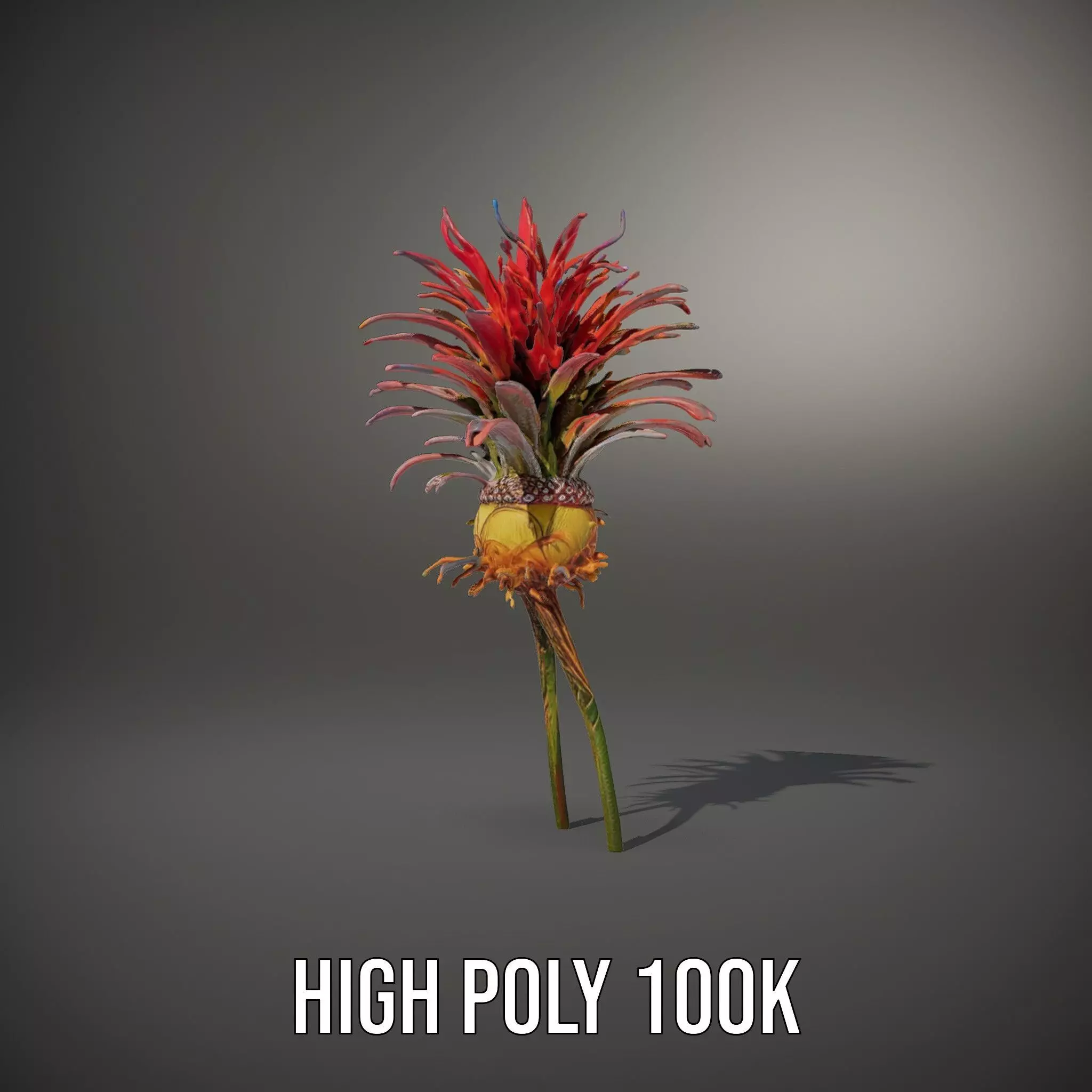 Exotic Fiery Plant model pack Low-poly 3D model_10