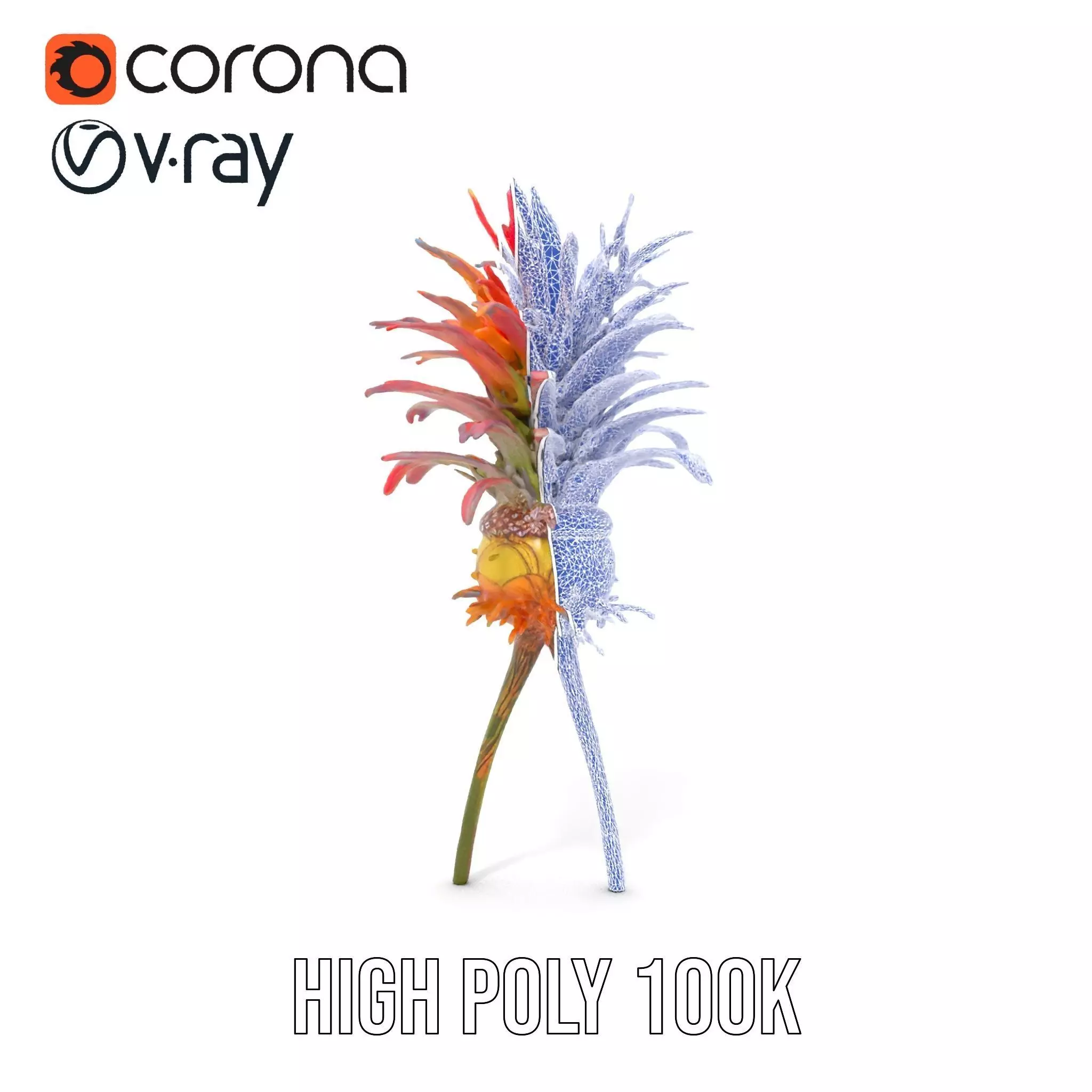 Exotic Fiery Plant model pack Low-poly 3D model_22