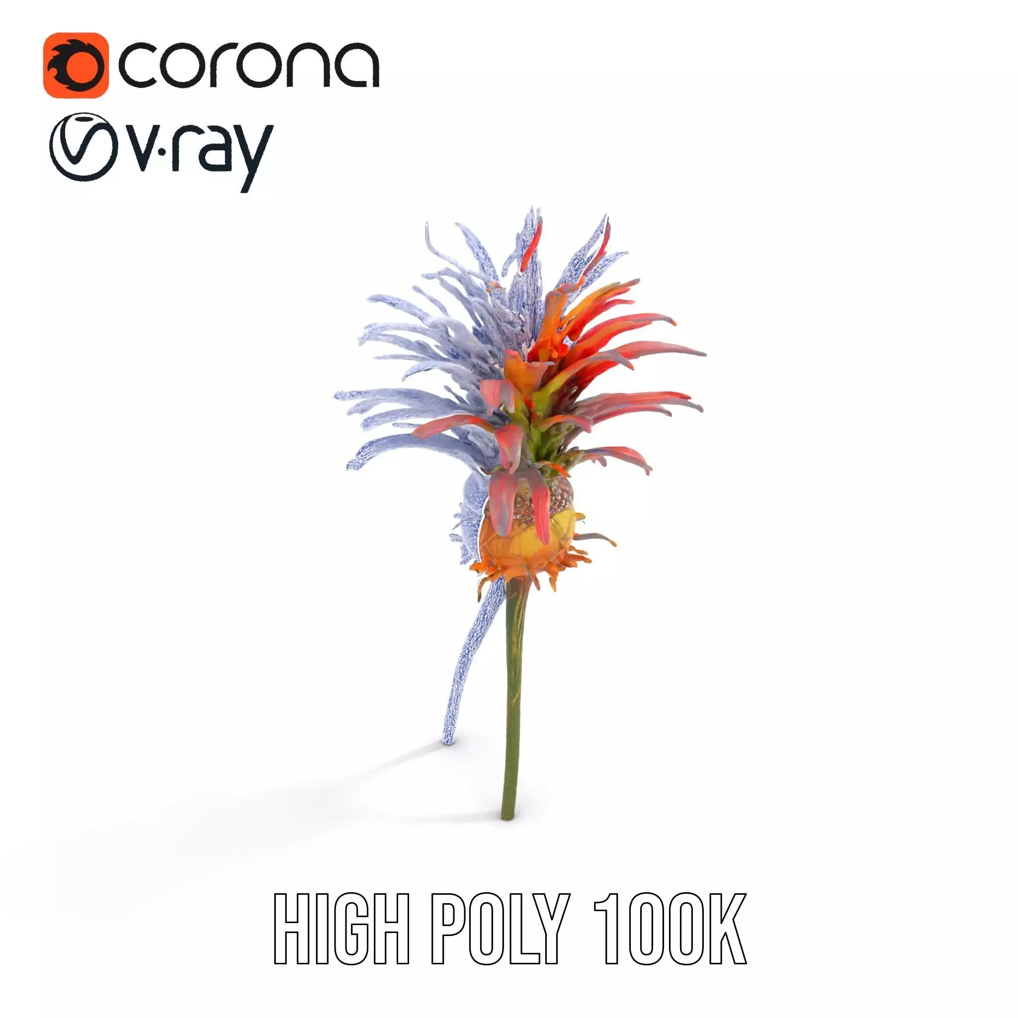 Exotic Fiery Plant model pack Low-poly 3D model_13