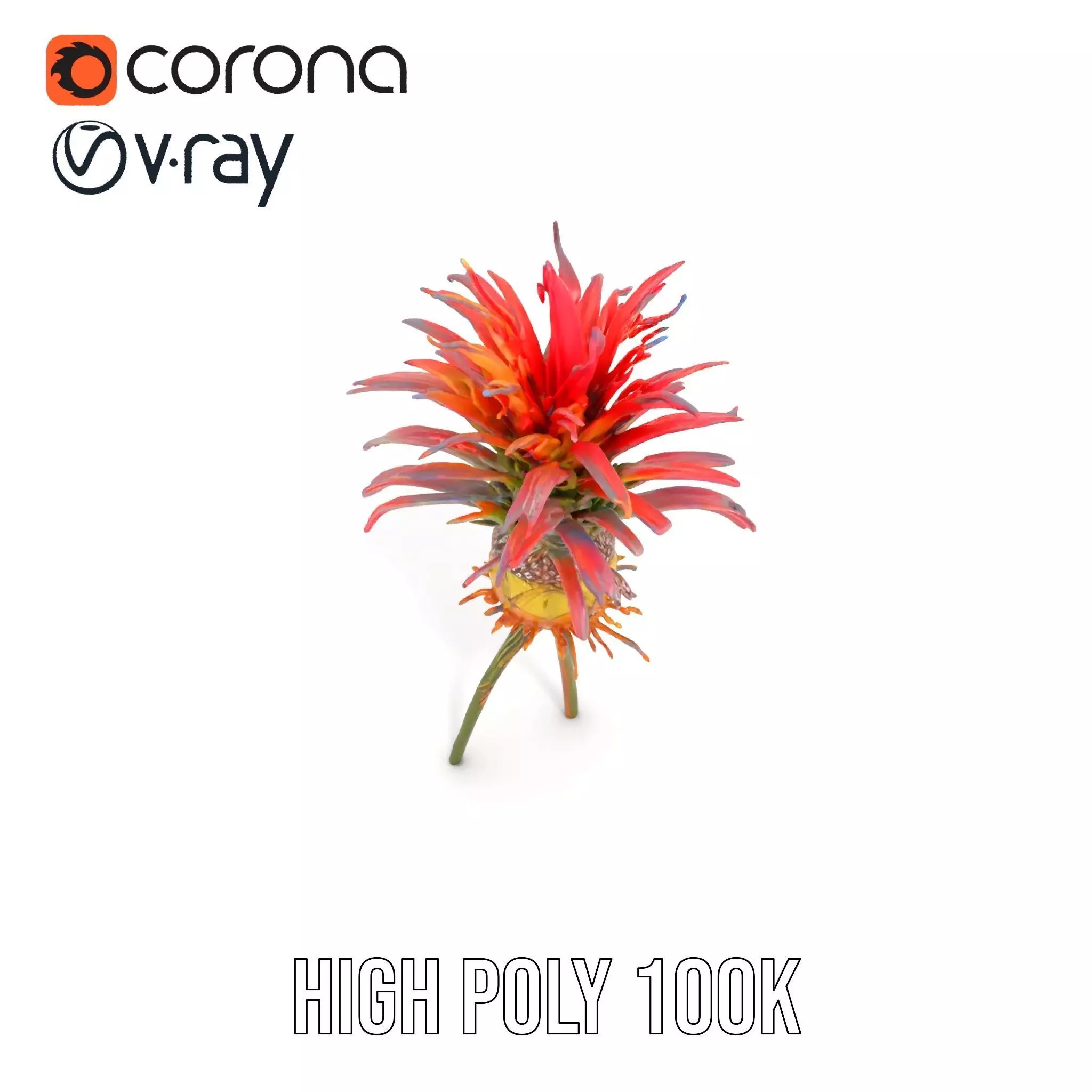 Exotic Fiery Plant model pack Low-poly 3D model_26