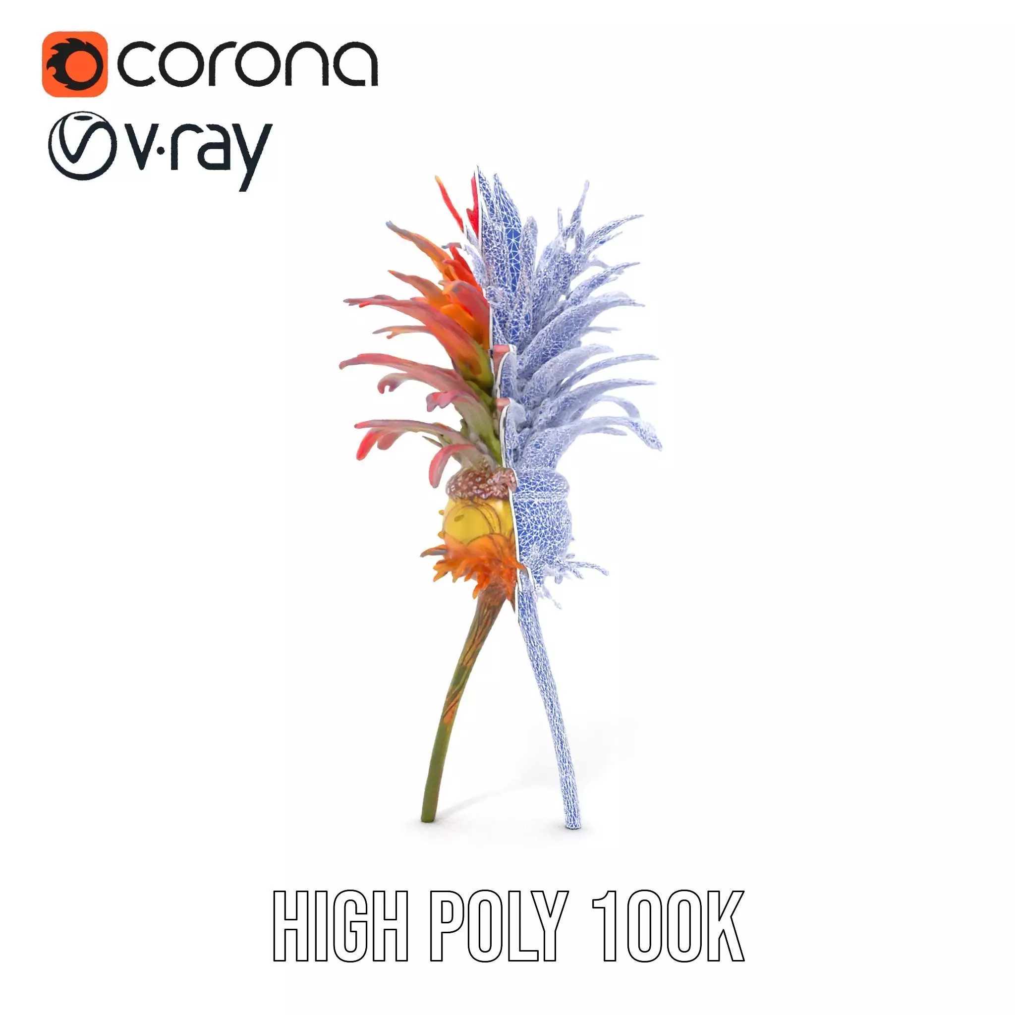 Exotic Fiery Plant model pack Low-poly 3D model_34