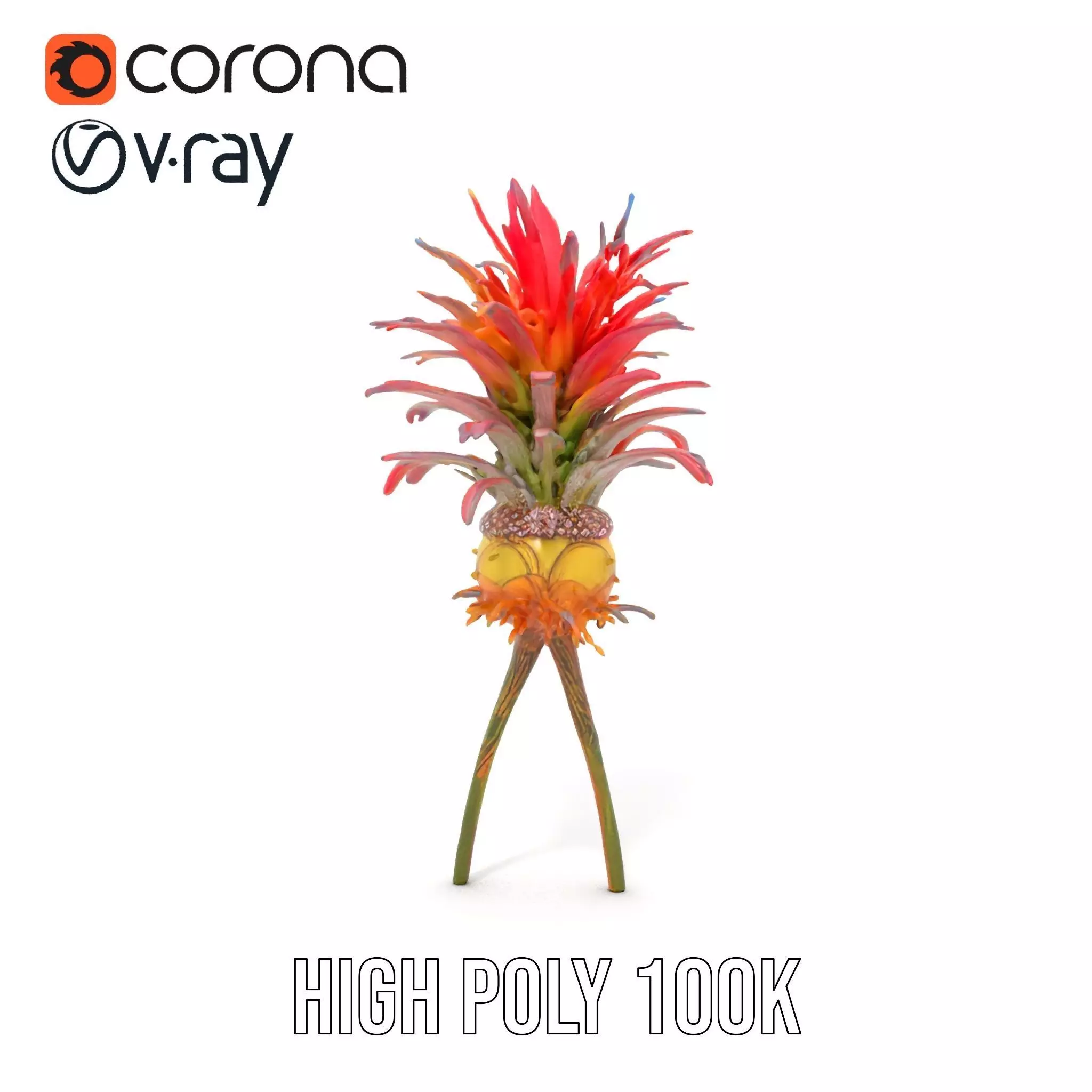 Exotic Fiery Plant model pack Low-poly 3D model_23