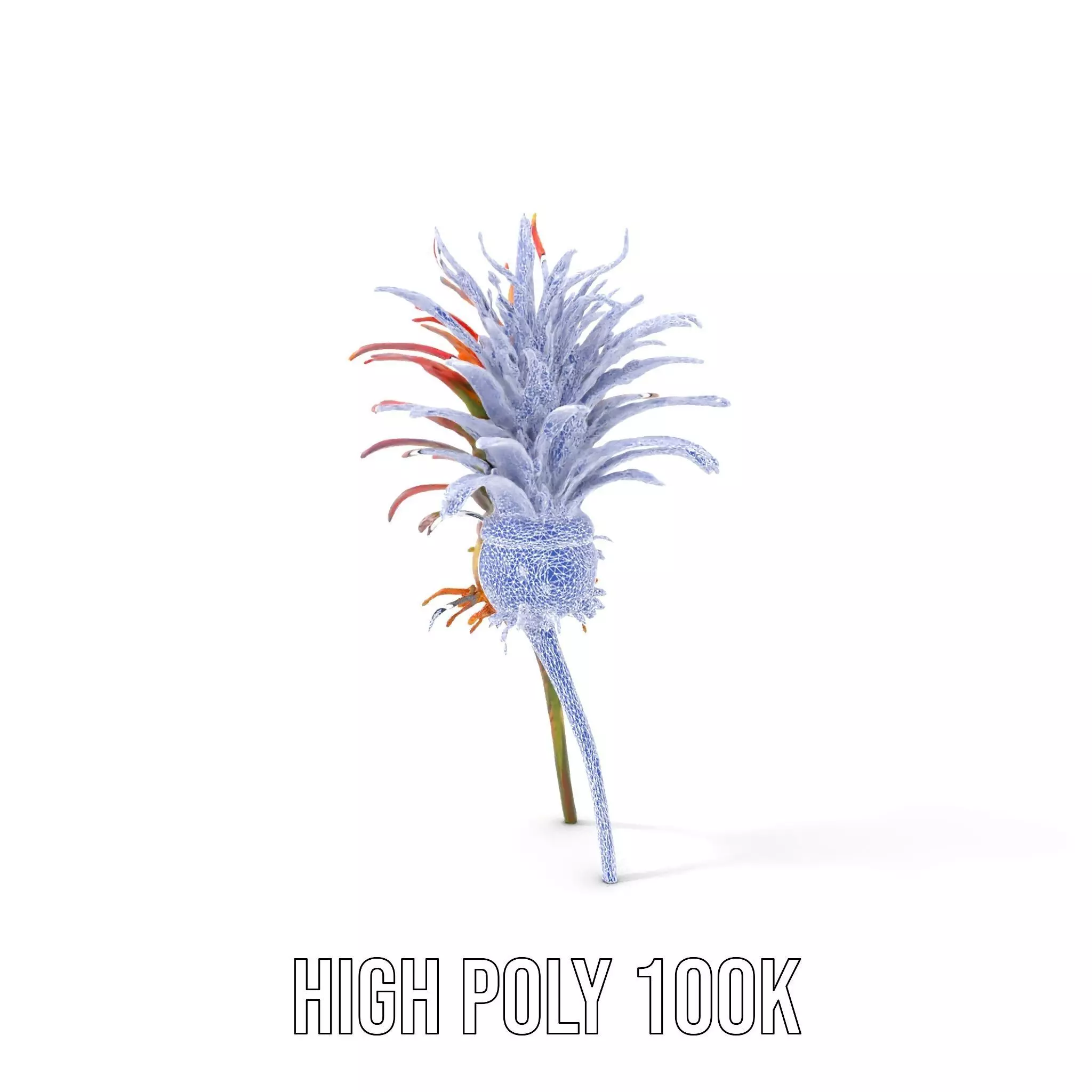 Exotic Fiery Plant model pack Low-poly 3D model_14