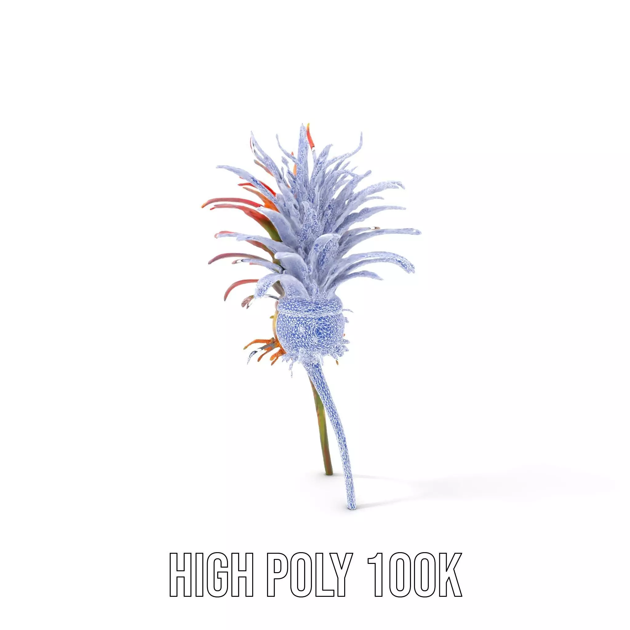 Exotic Fiery Plant model pack Low-poly 3D model_4