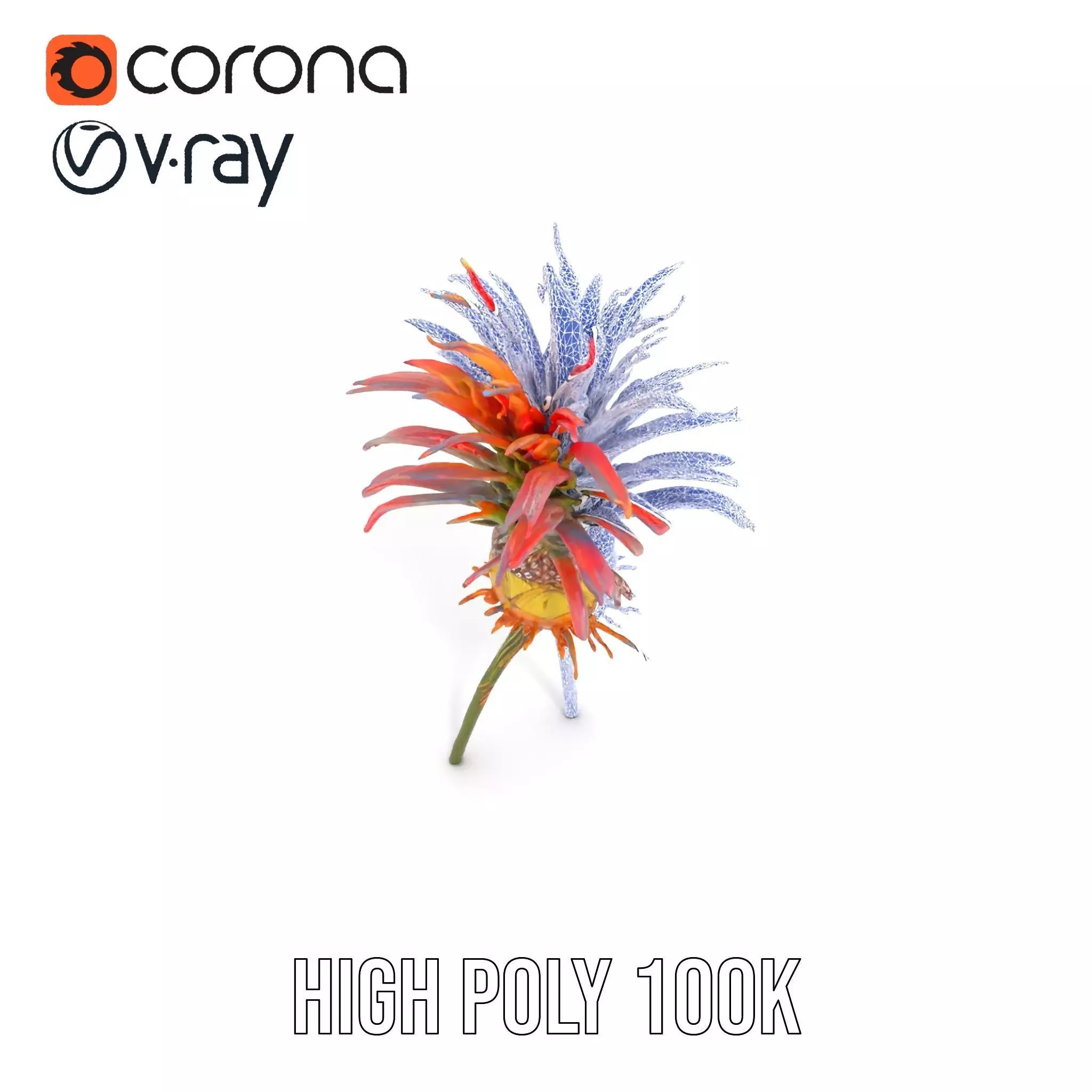 Exotic Fiery Plant model pack Low-poly 3D model_33