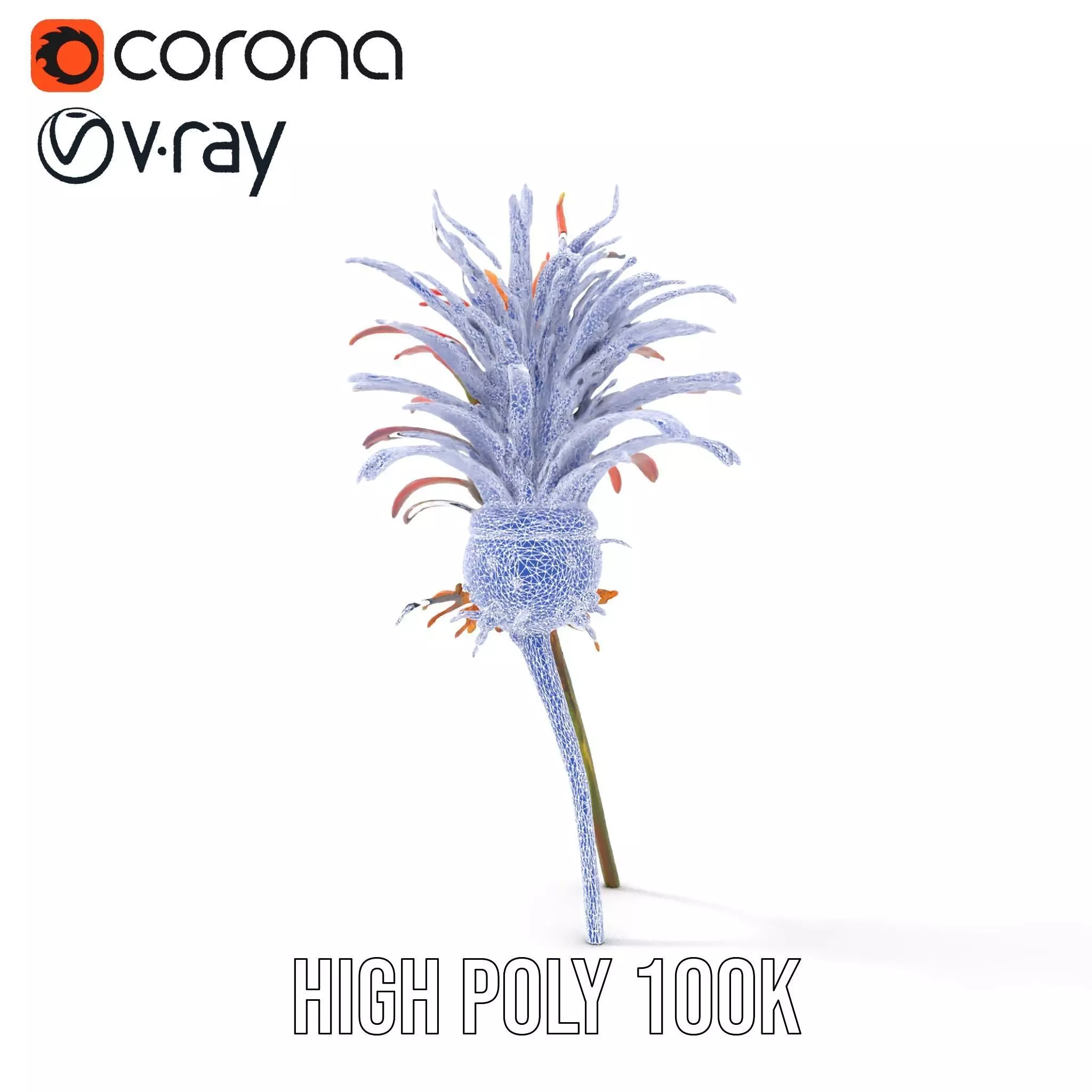 Exotic Fiery Plant model pack Low-poly 3D model_31