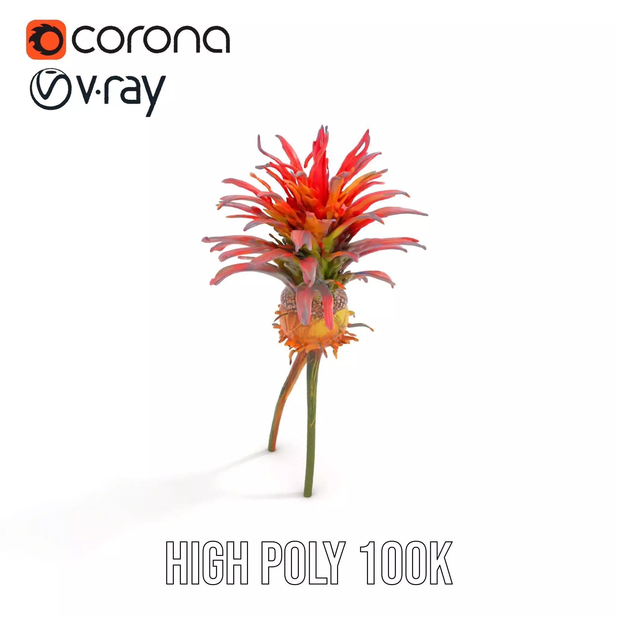 Exotic Fiery Plant model pack Low-poly 3D model_5