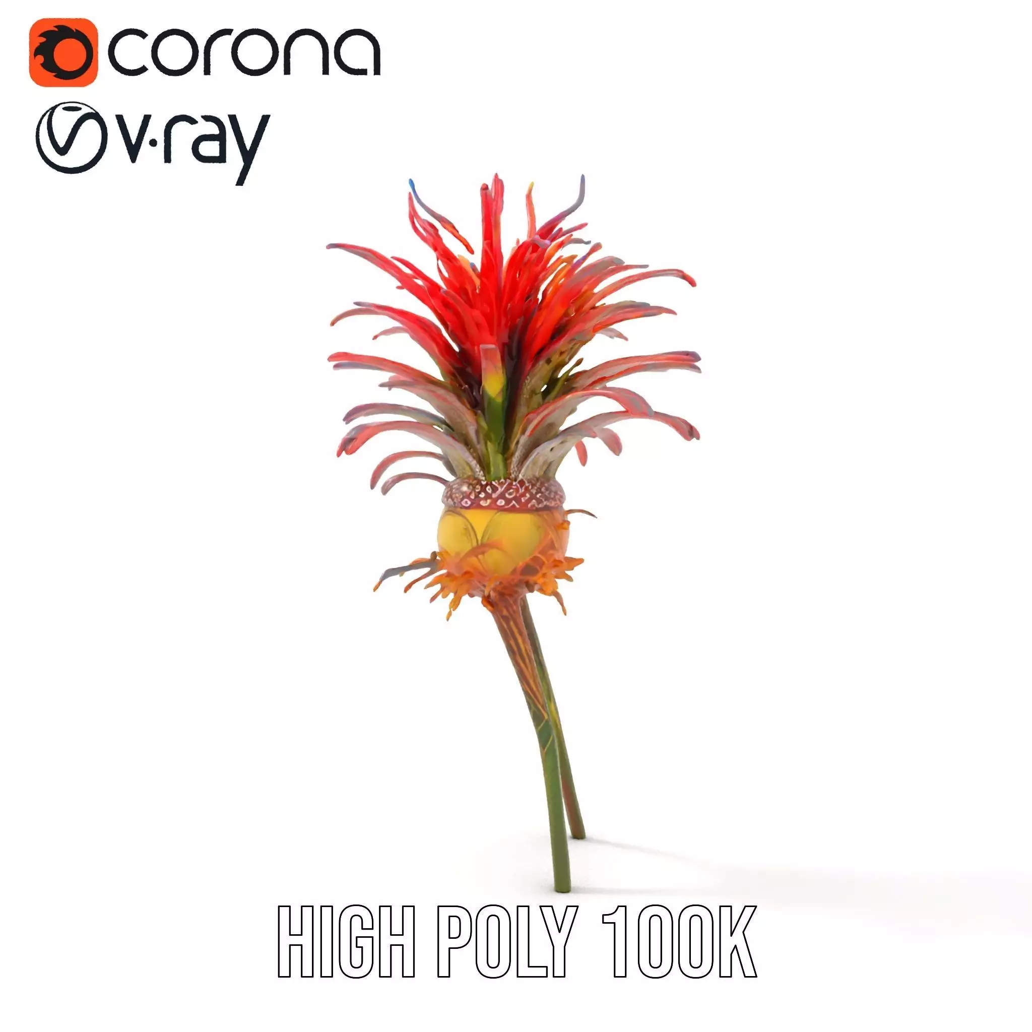 Exotic Fiery Plant model pack Low-poly 3D model_32