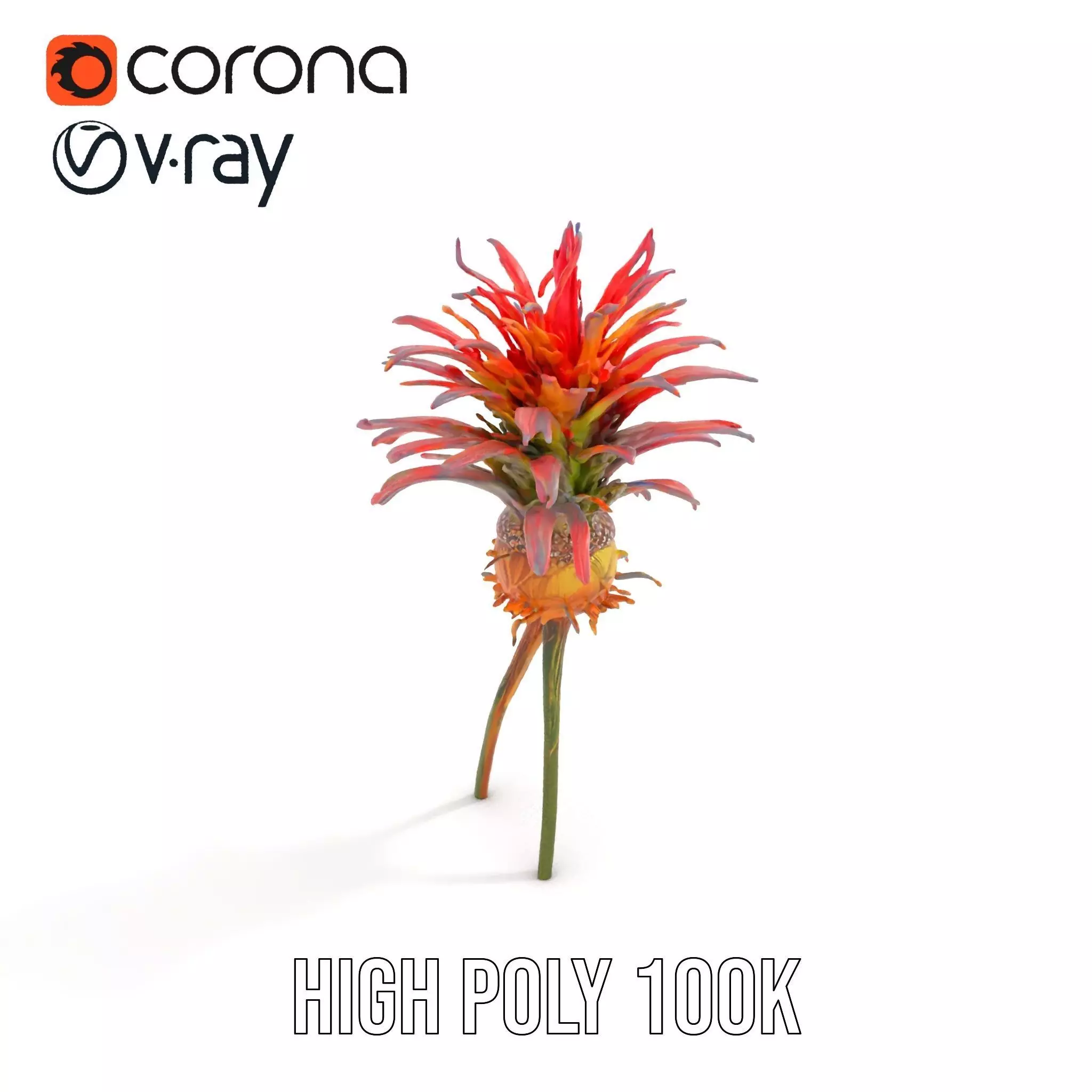 Exotic Fiery Plant model pack Low-poly 3D model_17