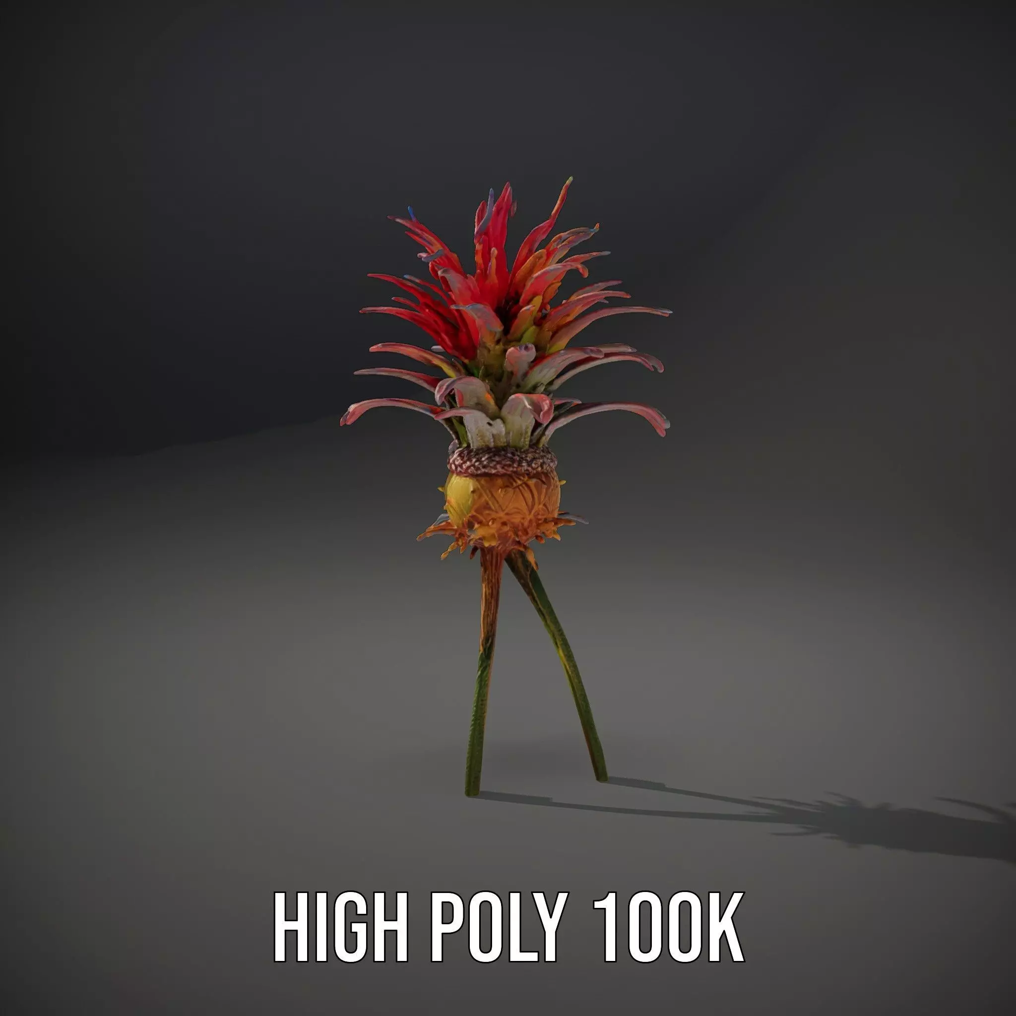 Exotic Fiery Plant model pack Low-poly 3D model_8