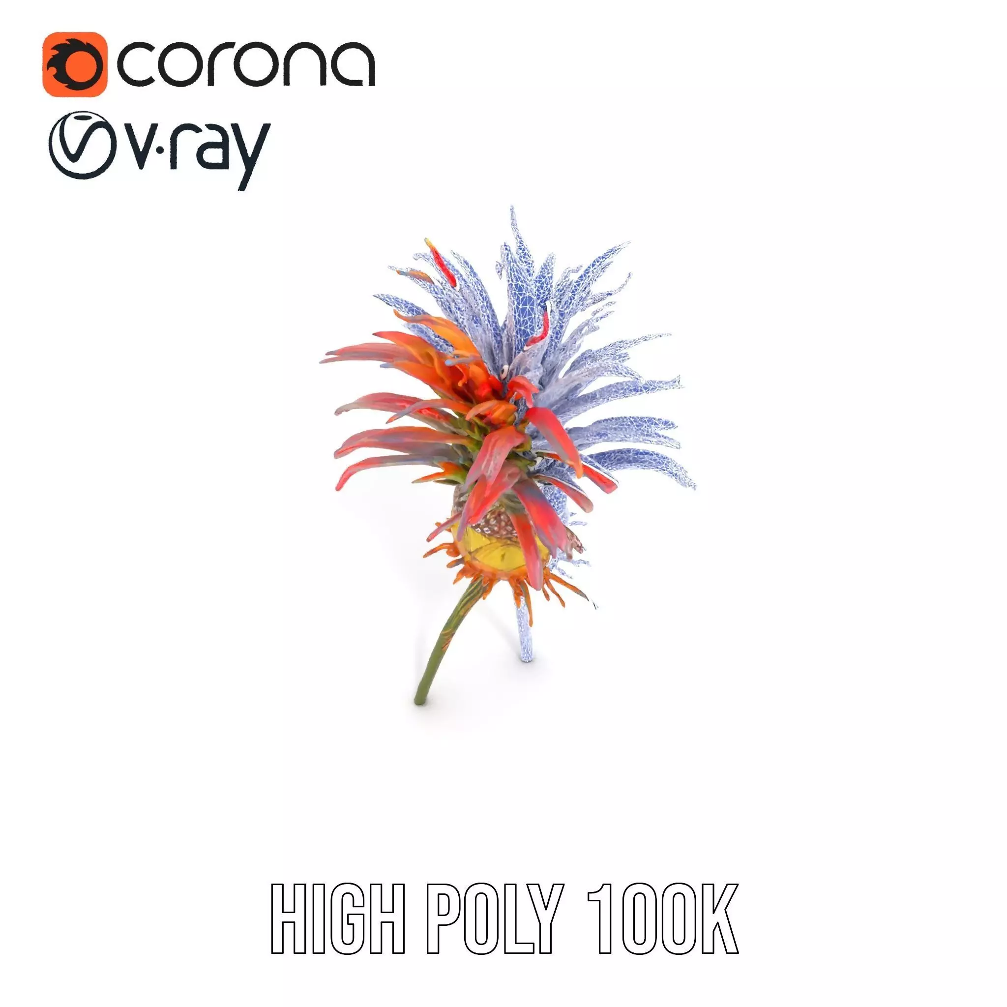 Exotic Fiery Plant model pack Low-poly 3D model_25