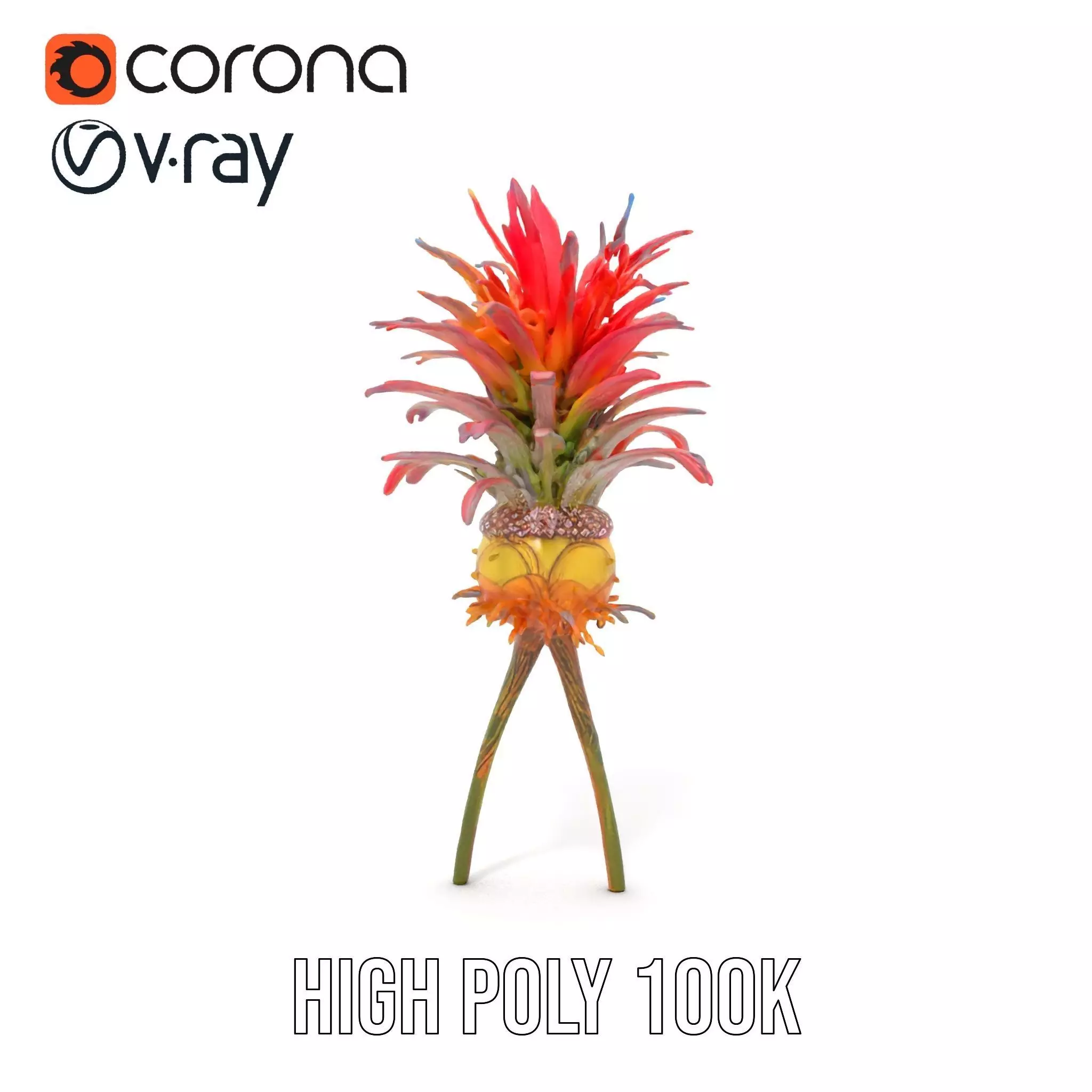 Exotic Fiery Plant model pack Low-poly 3D model_12