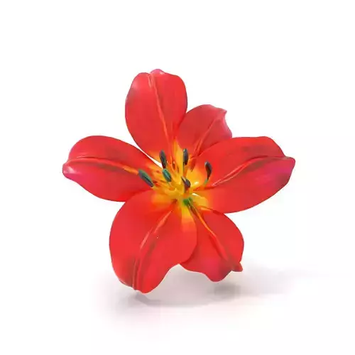 Vibrant Red Lily model pack