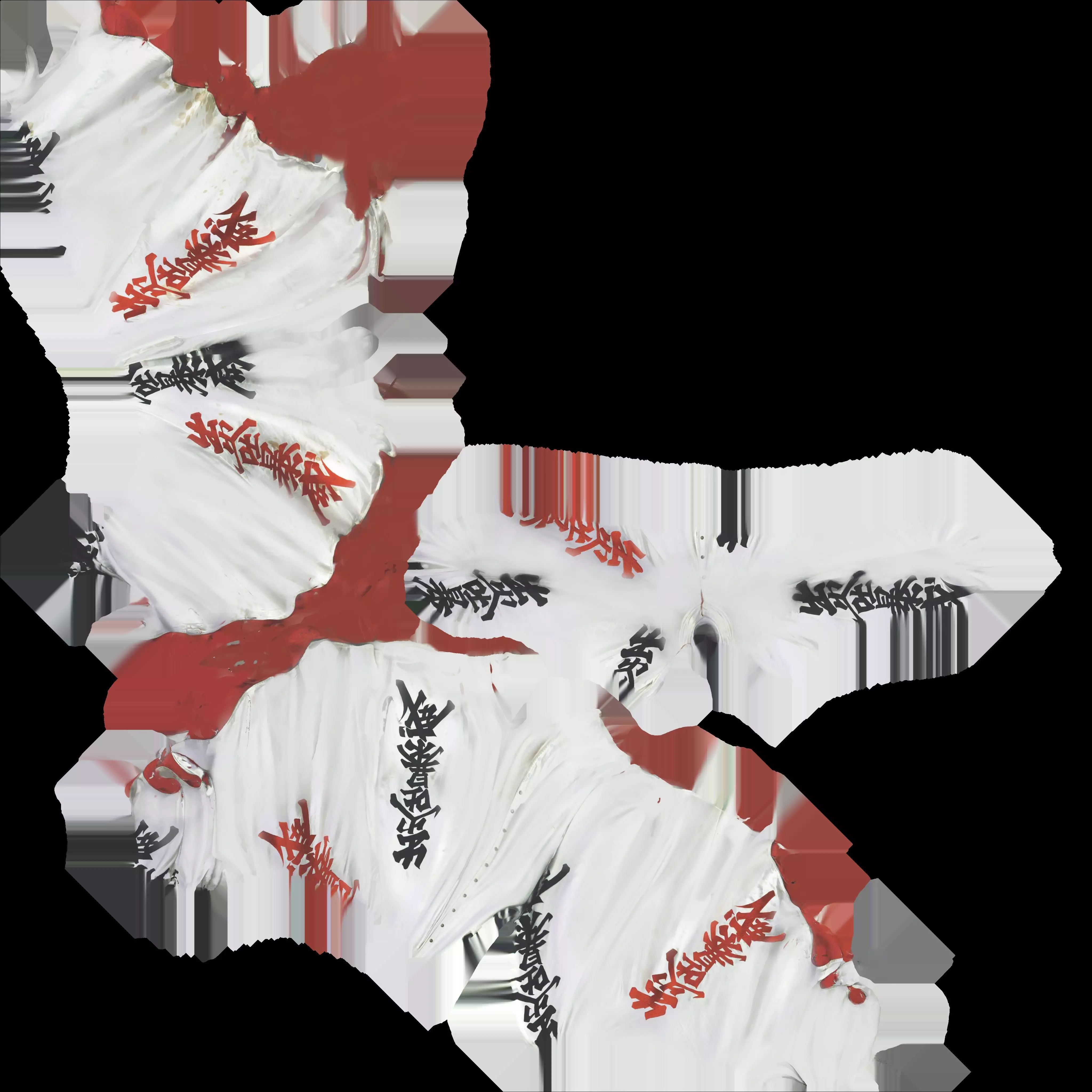 David Bowie kimono costume 3D model_6