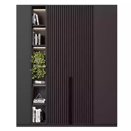 Cabinet with shelves 30