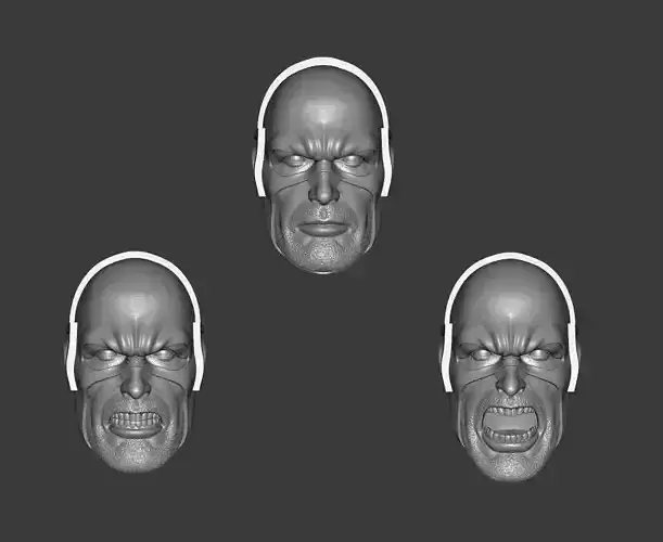 DC MIRROR MASTER EXPRESSIONS 3-PACK HEADSCULPT
