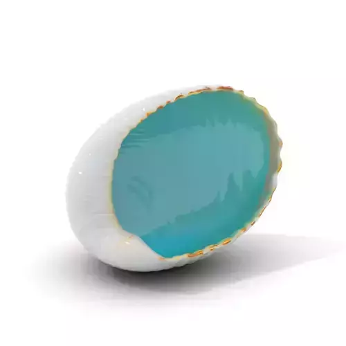 Serene Seashell Aquatic model pack Low-poly 3D model