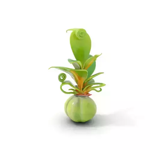 Curled Leaf Plant model pack Low-poly 3D model