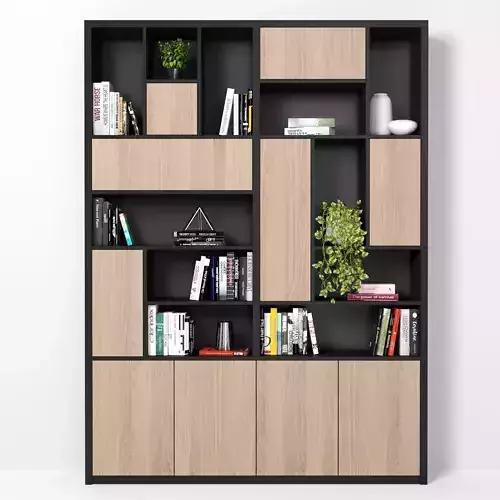 Rack and Bookcase 033