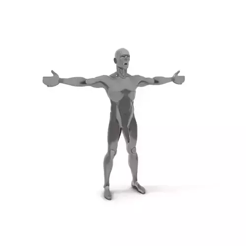 Sleek Carbon Figure model pack Low-poly 3D model