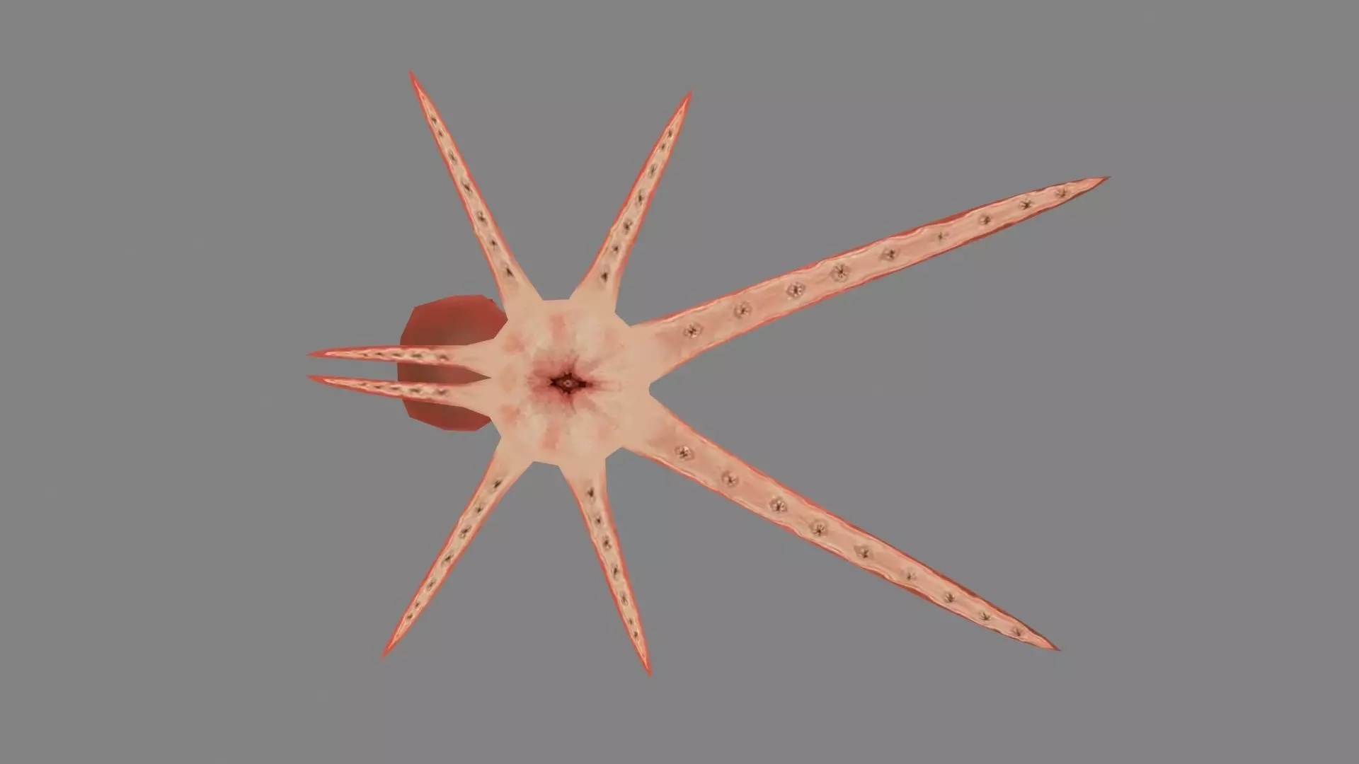 Cartoon Octopus Low-poly 3D model_3