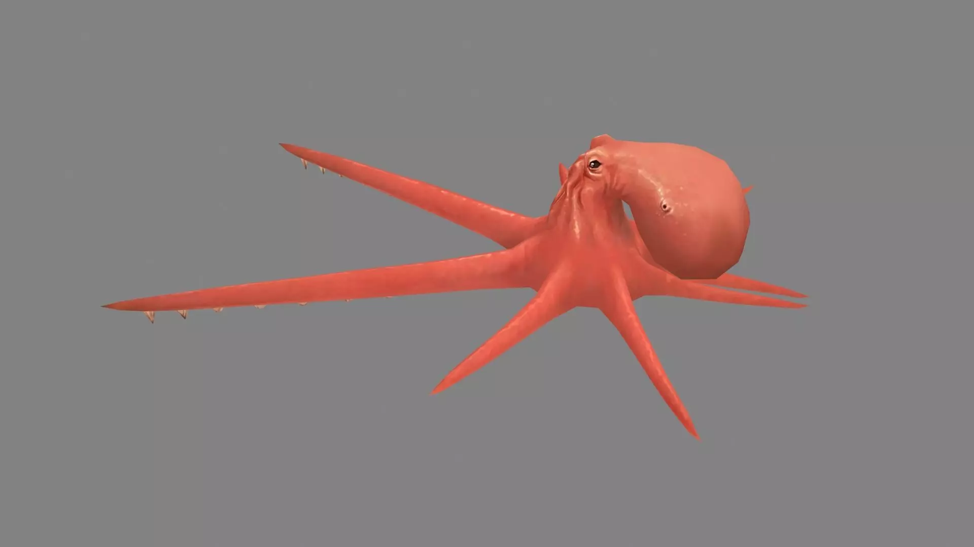 Cartoon Octopus Low-poly 3D model_1