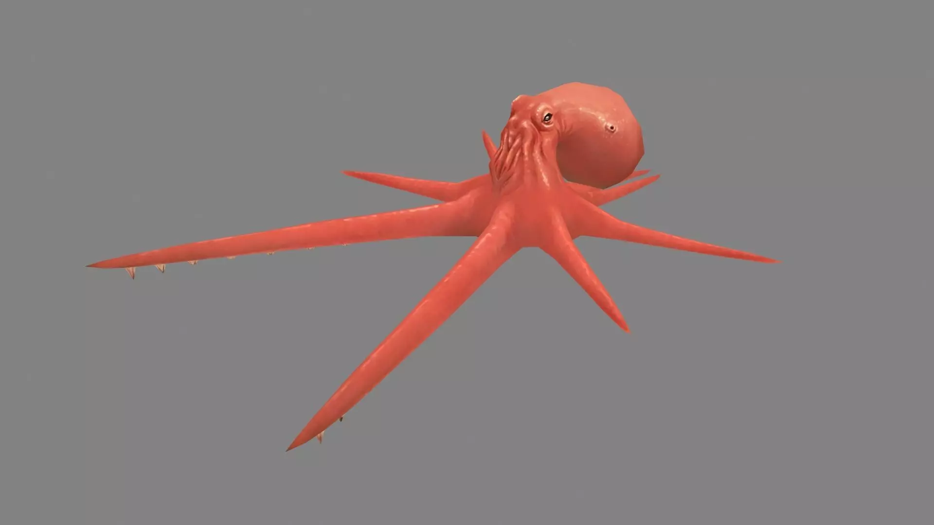 Cartoon Octopus Low-poly 3D model_0