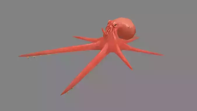Cartoon Octopus