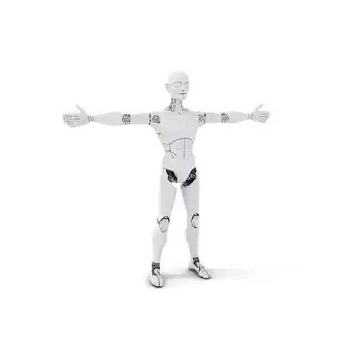 Sleek Silver Robot model pack Low-poly 3D model