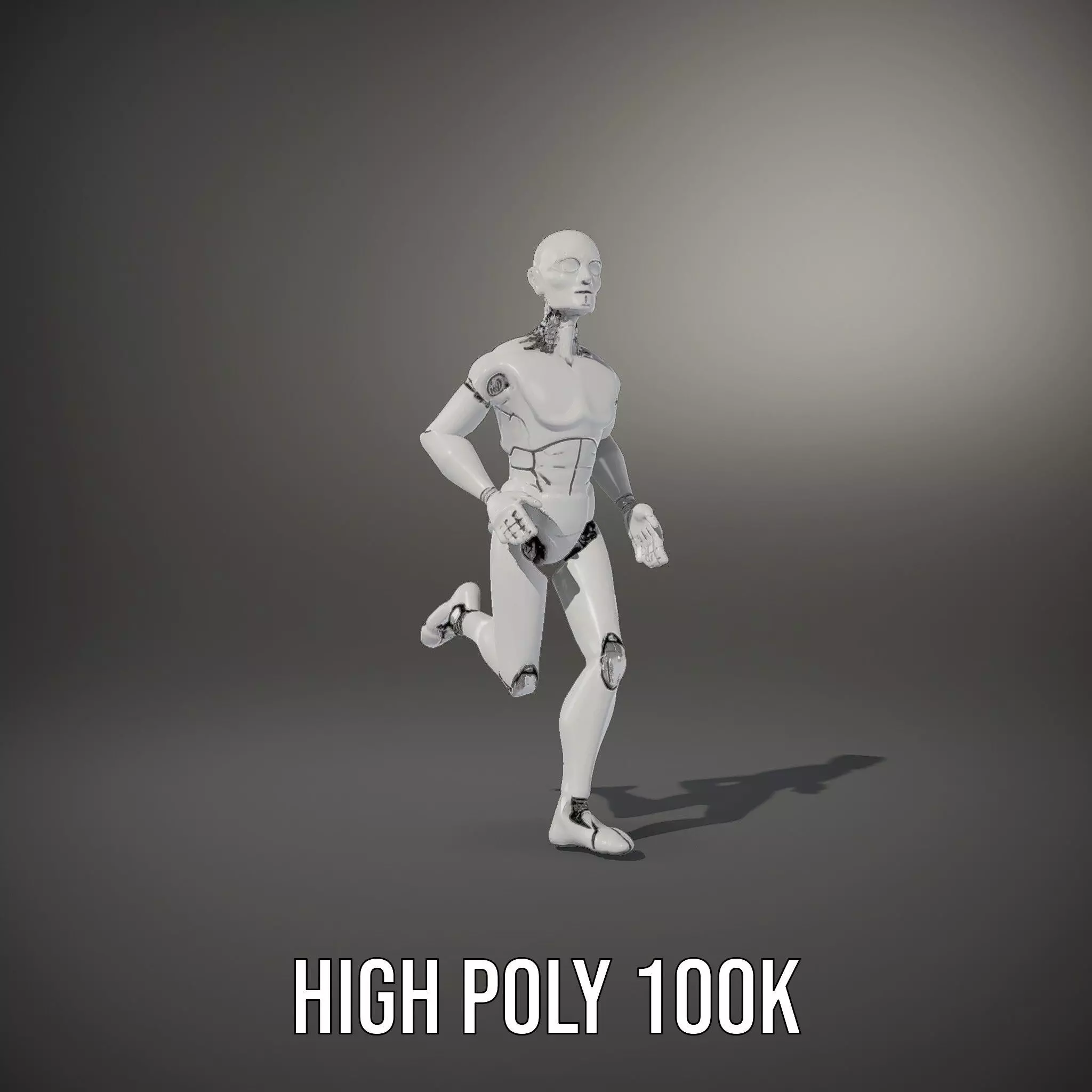 Sleek Silver Robot model pack Low-poly 3D model_12
