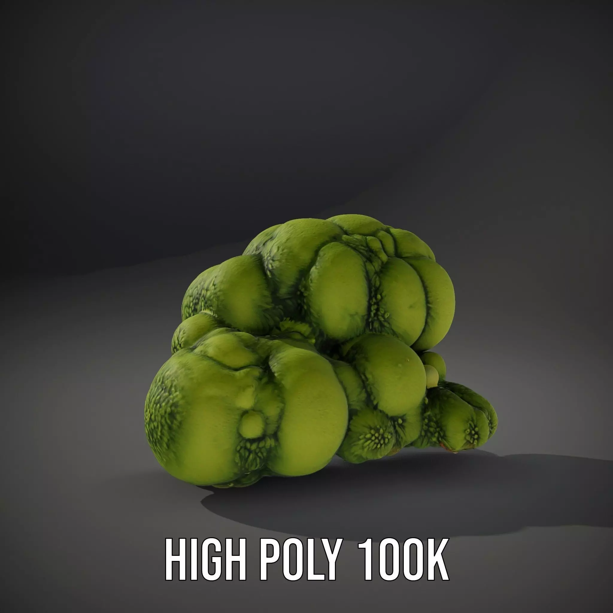 Vibrant Moss Cluster model pack Low-poly 3D model_8