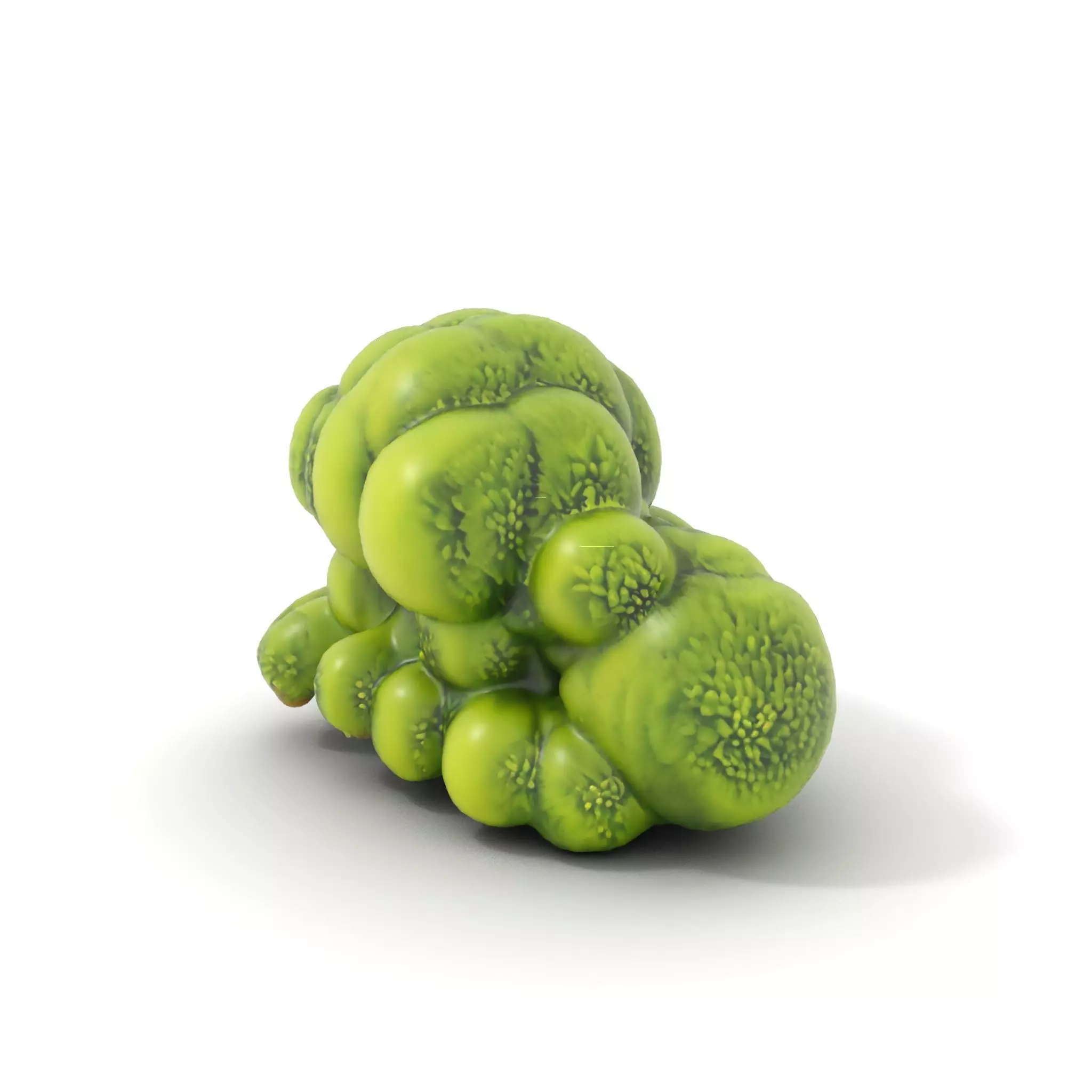 Vibrant Moss Cluster model pack Low-poly 3D model_6