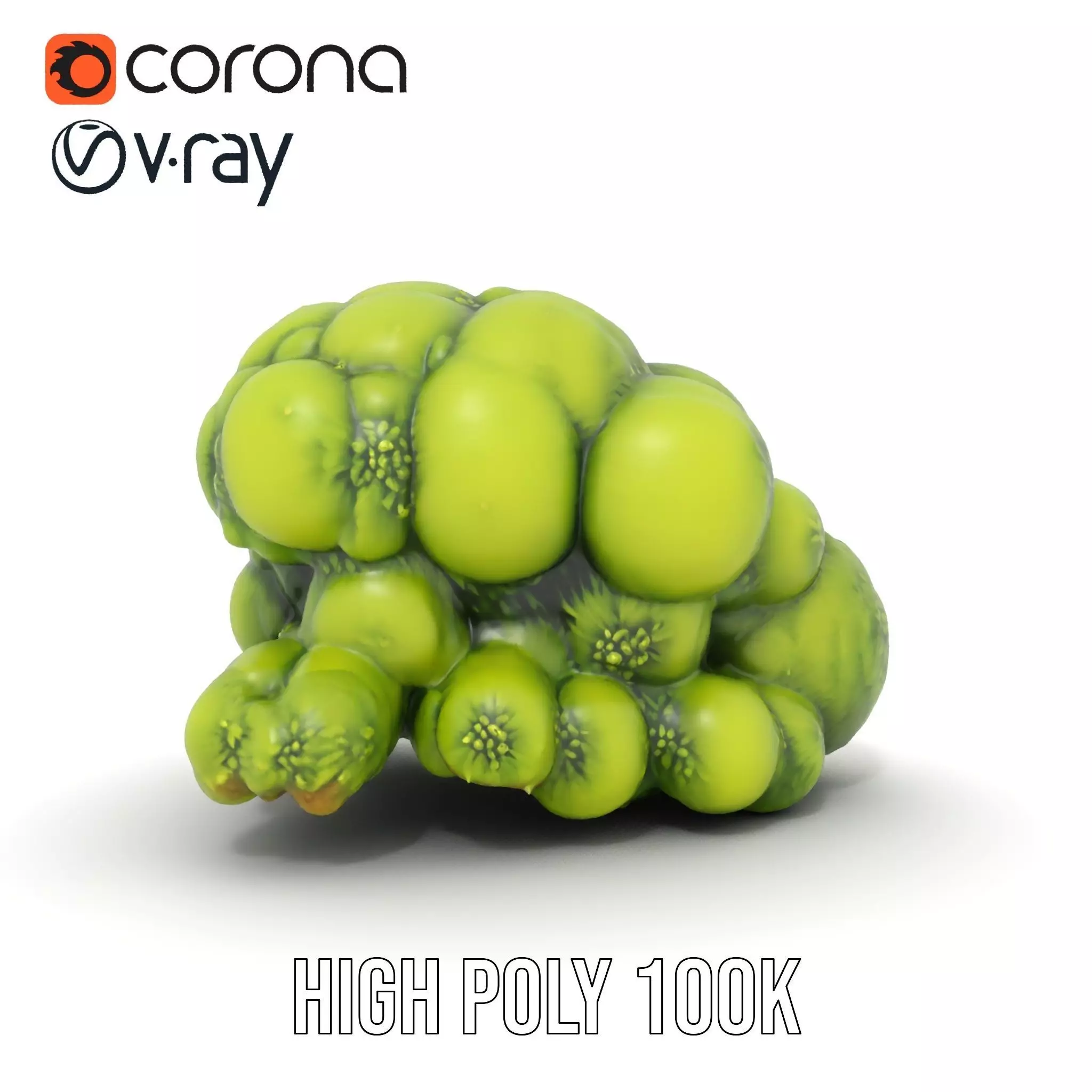 Vibrant Moss Cluster model pack Low-poly 3D model_34