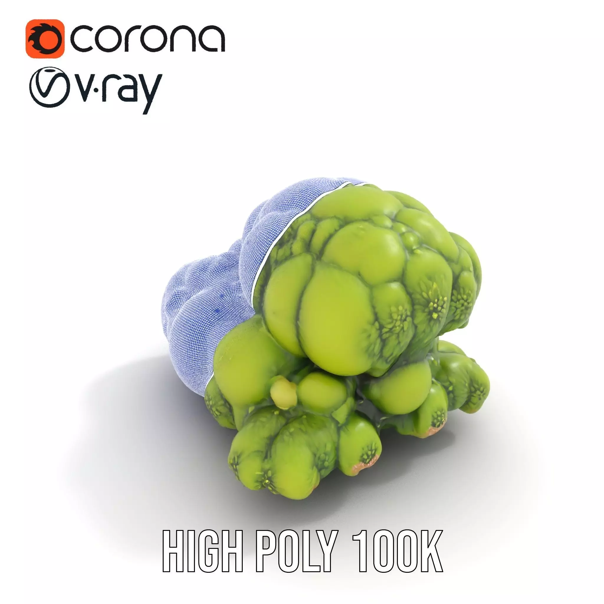 Vibrant Moss Cluster model pack Low-poly 3D model_29