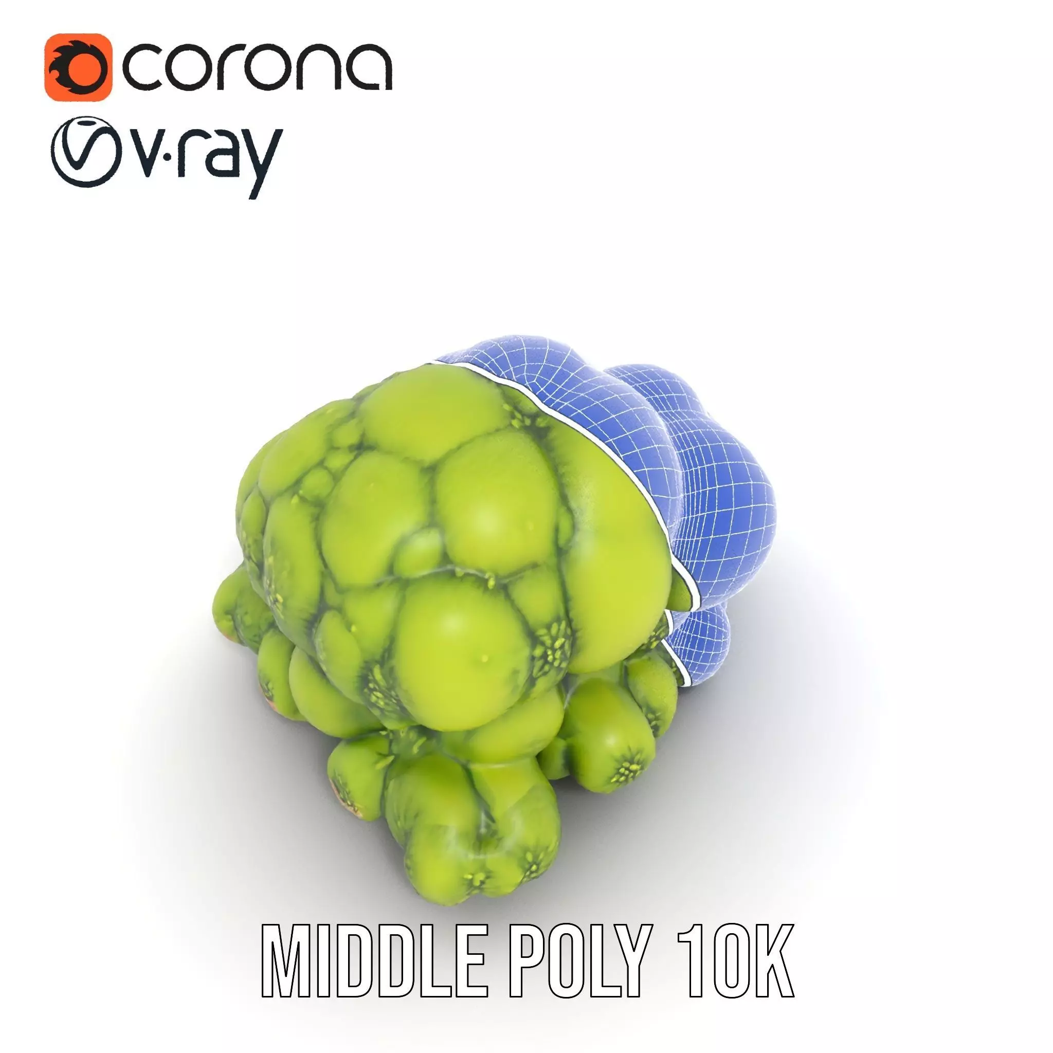 Vibrant Moss Cluster model pack Low-poly 3D model_30