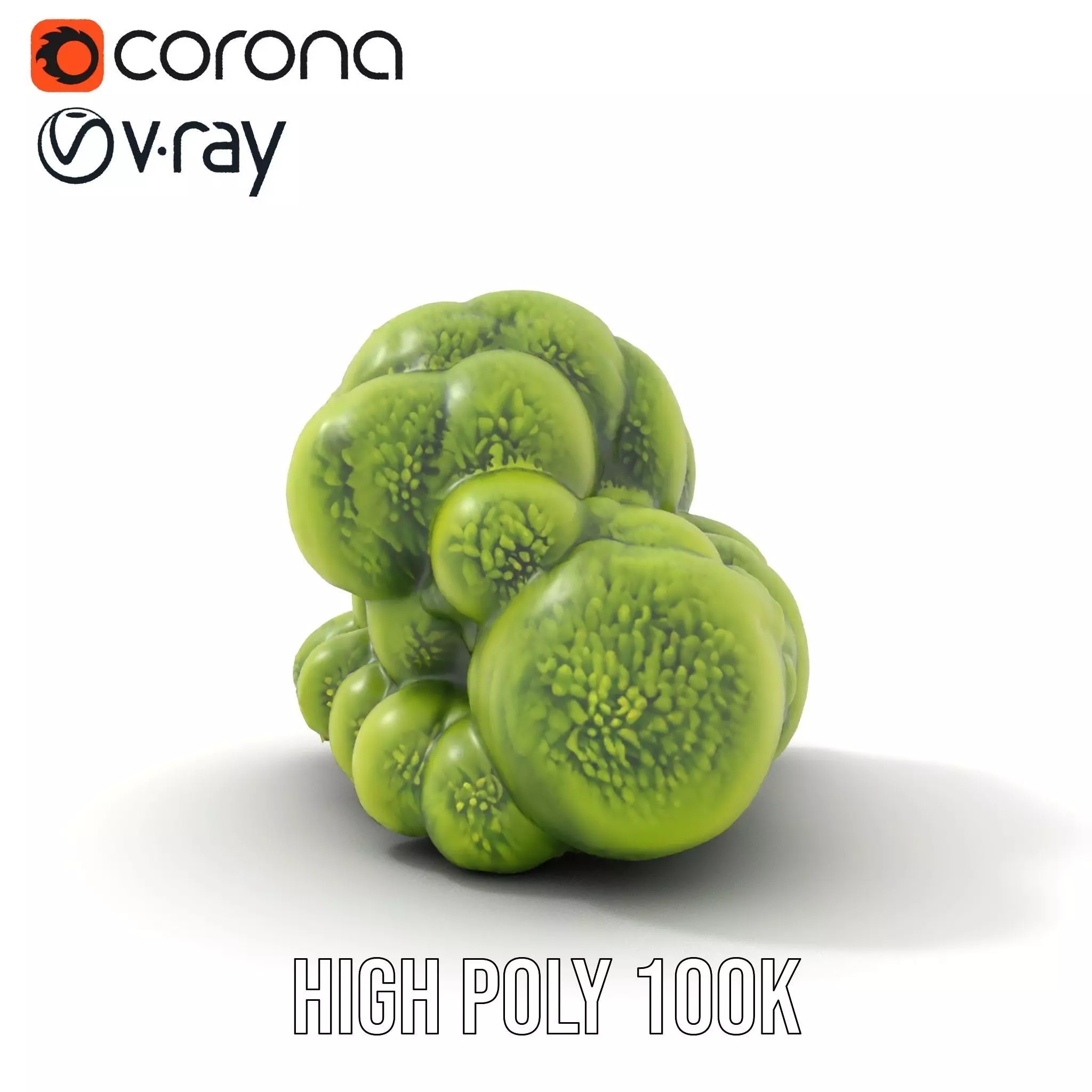 Vibrant Moss Cluster model pack Low-poly 3D model_17