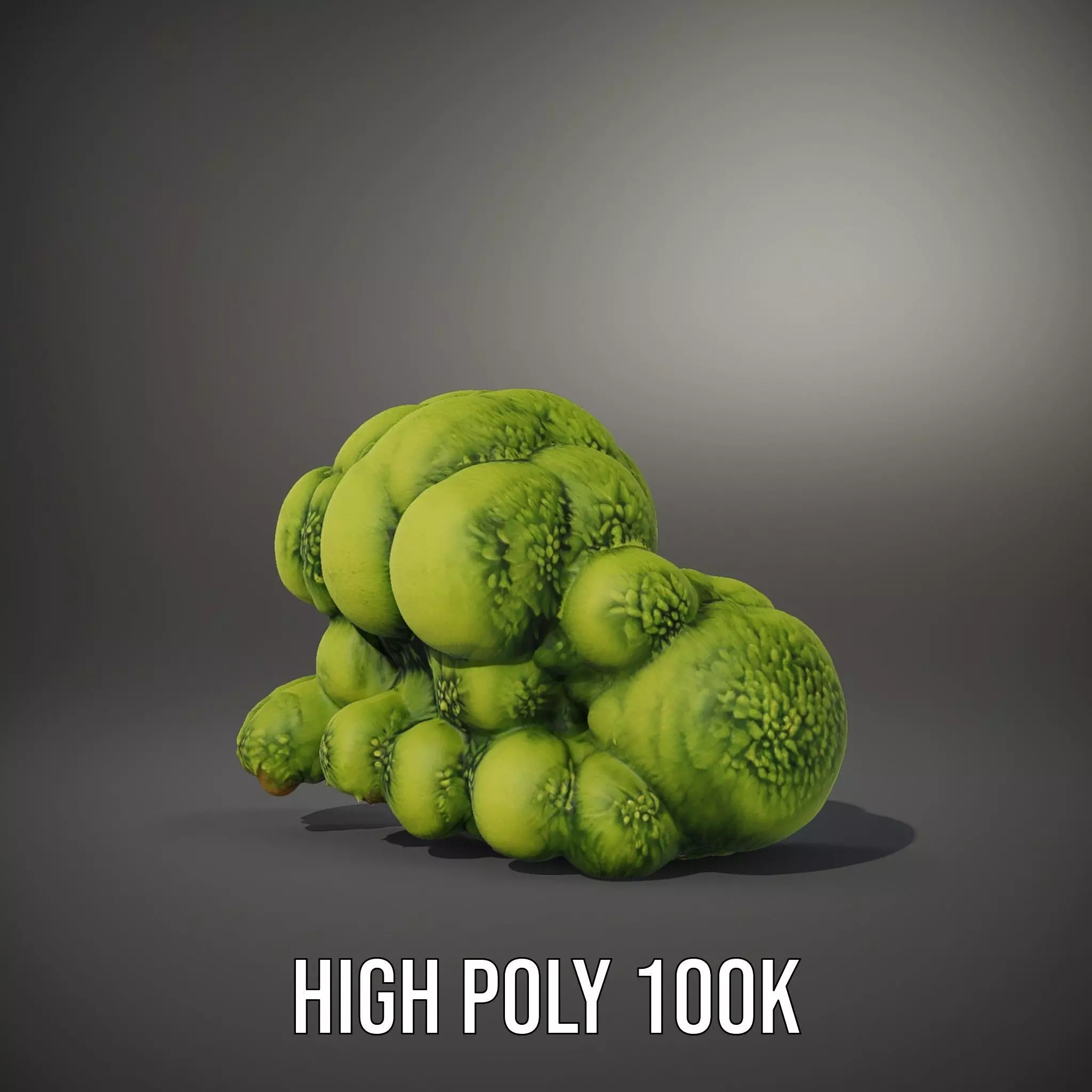Vibrant Moss Cluster model pack Low-poly 3D model_10