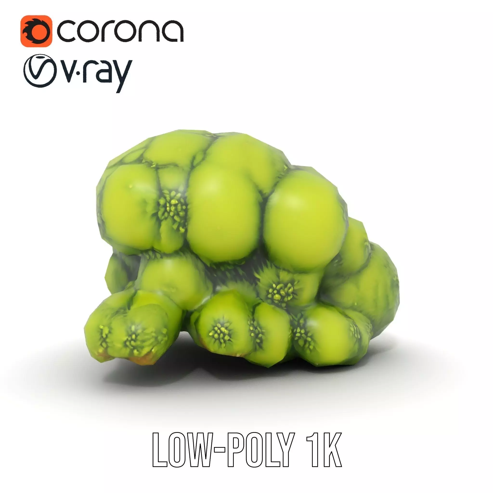 Vibrant Moss Cluster model pack Low-poly 3D model_14