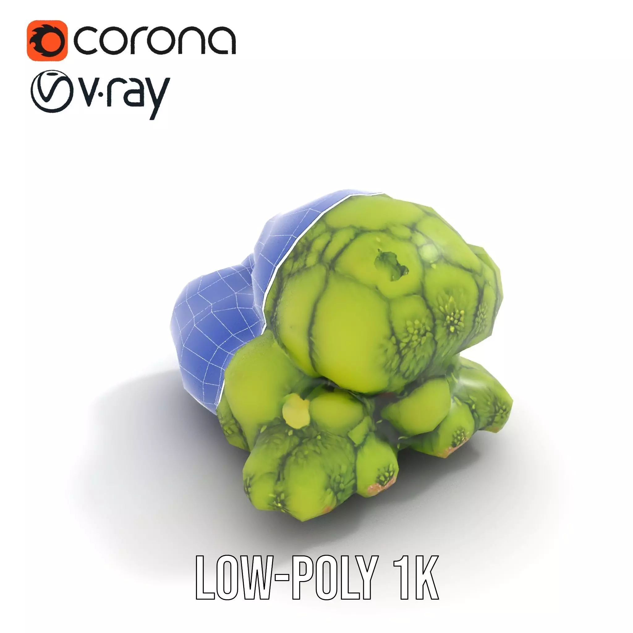 Vibrant Moss Cluster model pack Low-poly 3D model_9