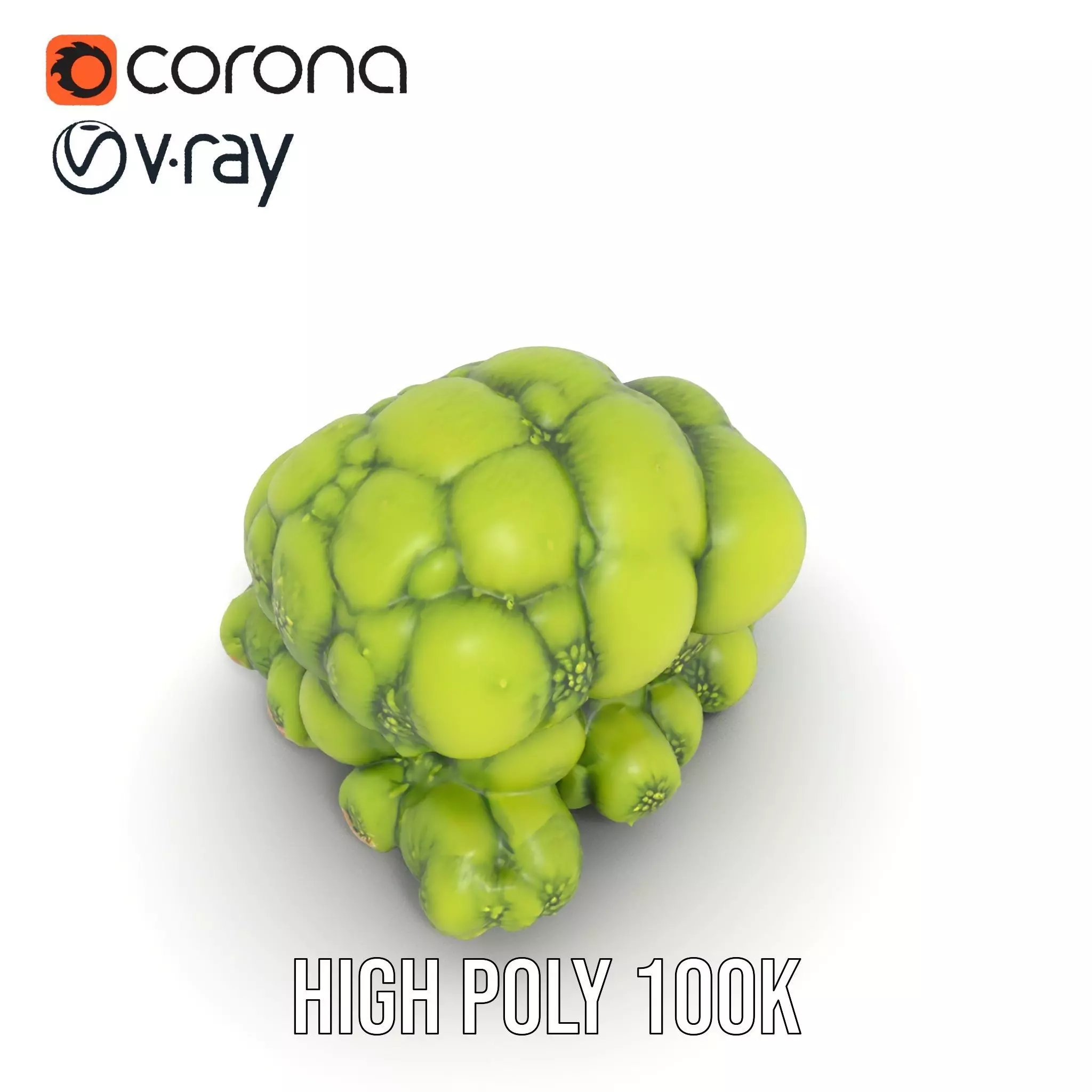 Vibrant Moss Cluster model pack Low-poly 3D model_23