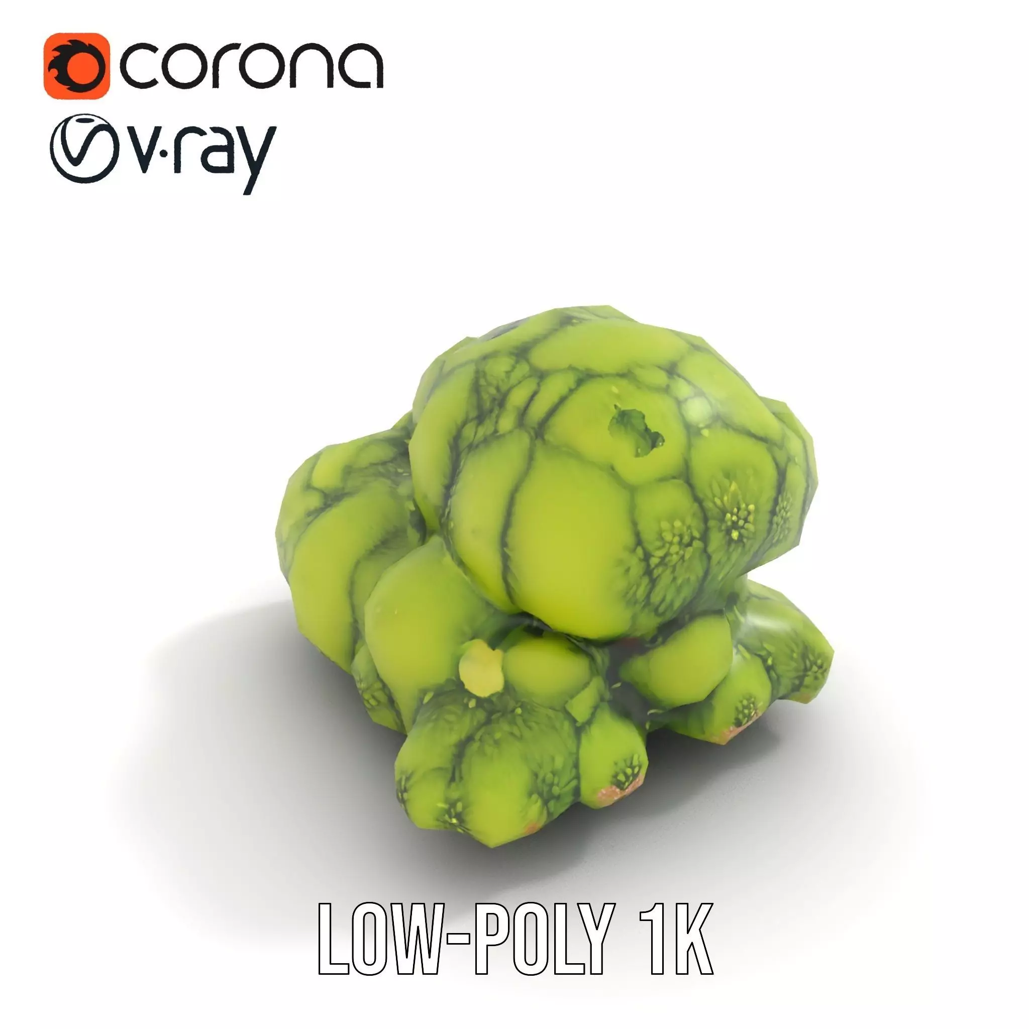 Vibrant Moss Cluster model pack Low-poly 3D model_22