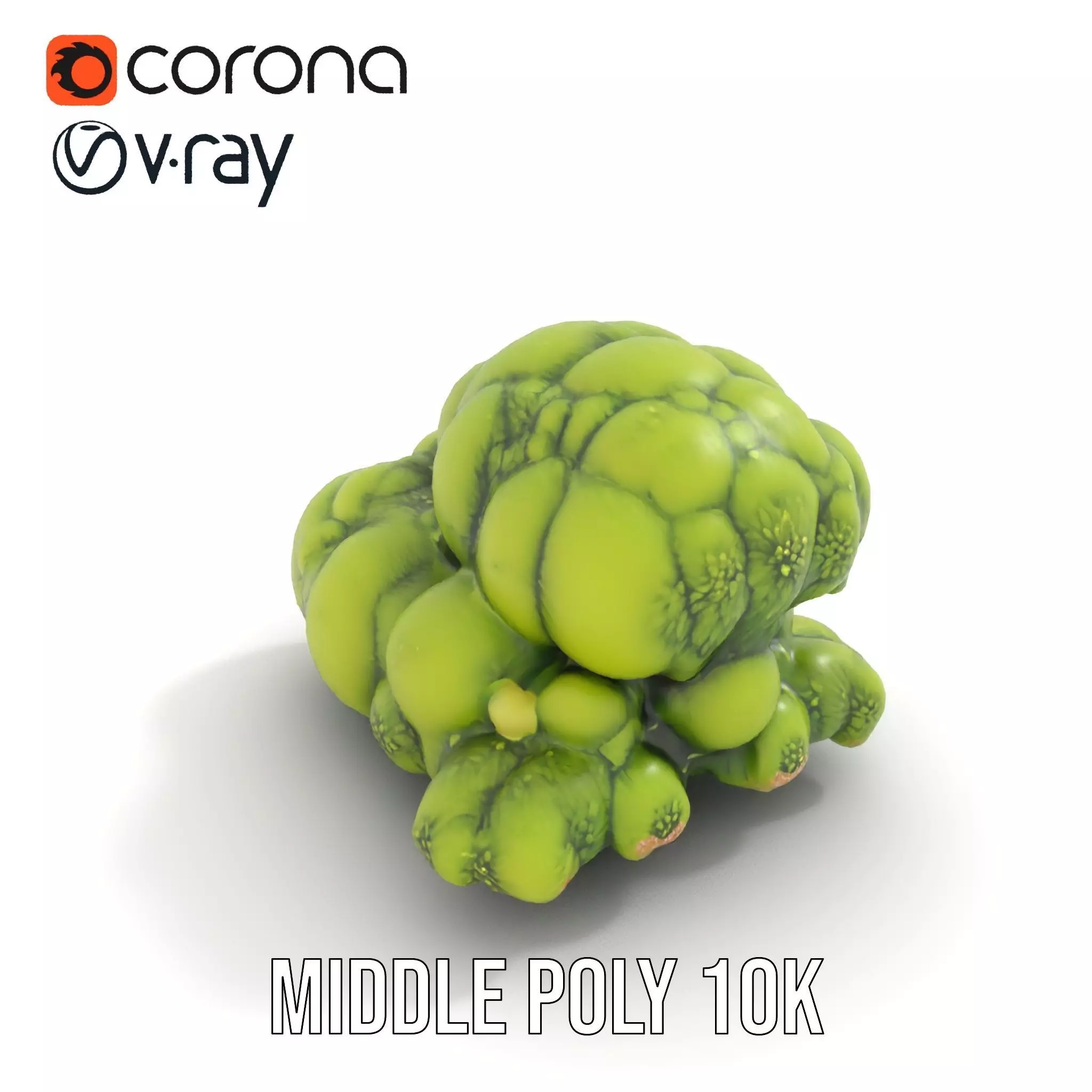 Vibrant Moss Cluster model pack Low-poly 3D model_5