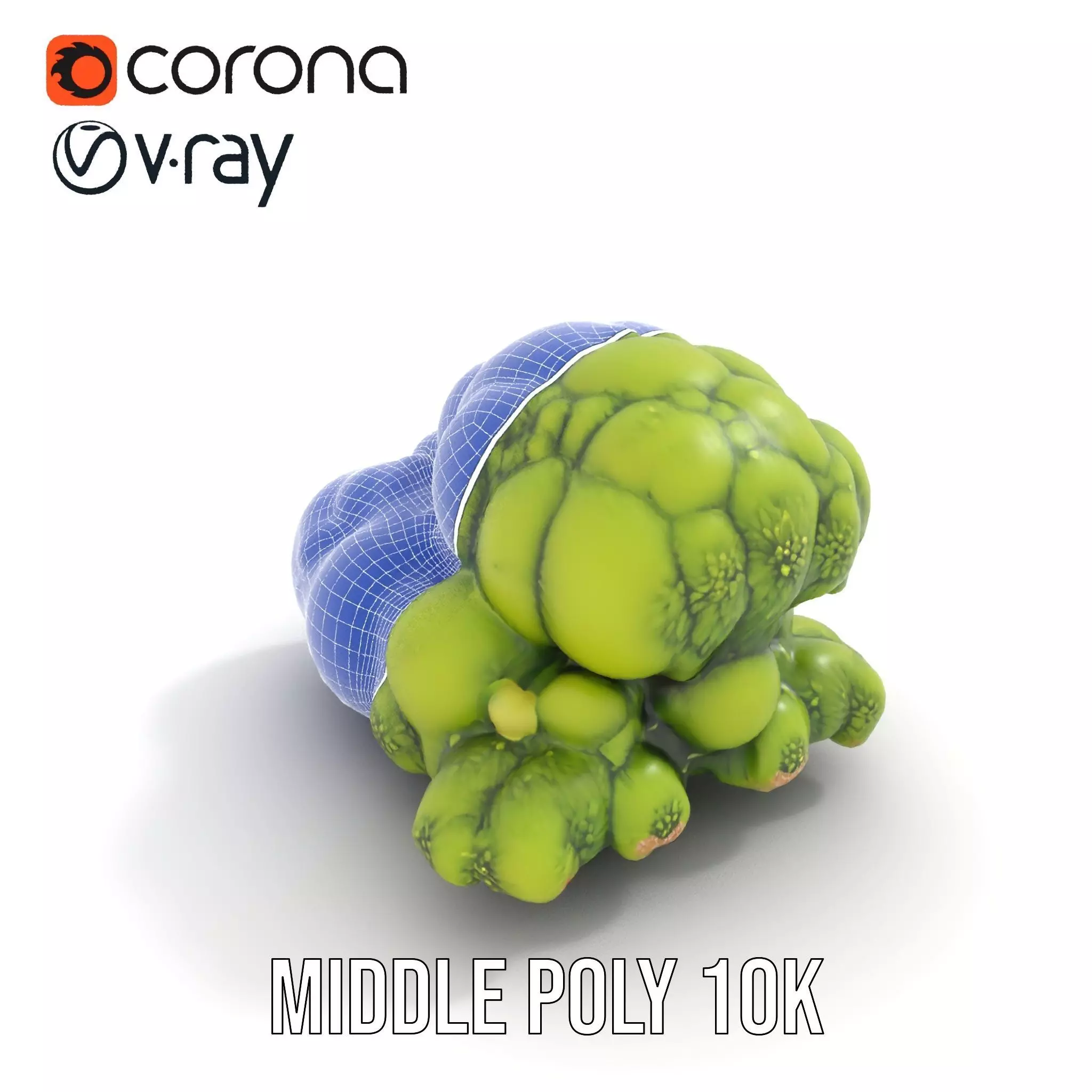 Vibrant Moss Cluster model pack Low-poly 3D model_24