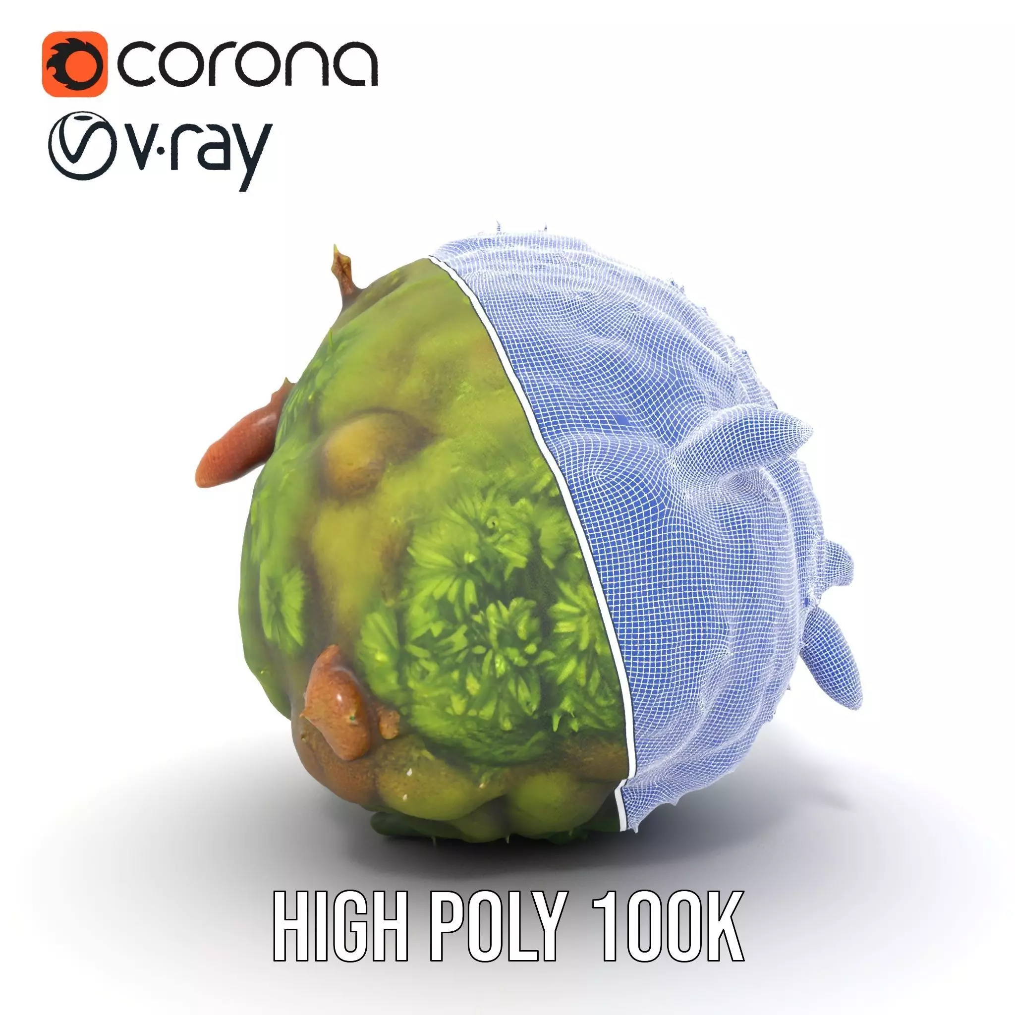 Lush Forest Moss model pack Low-poly 3D model_29