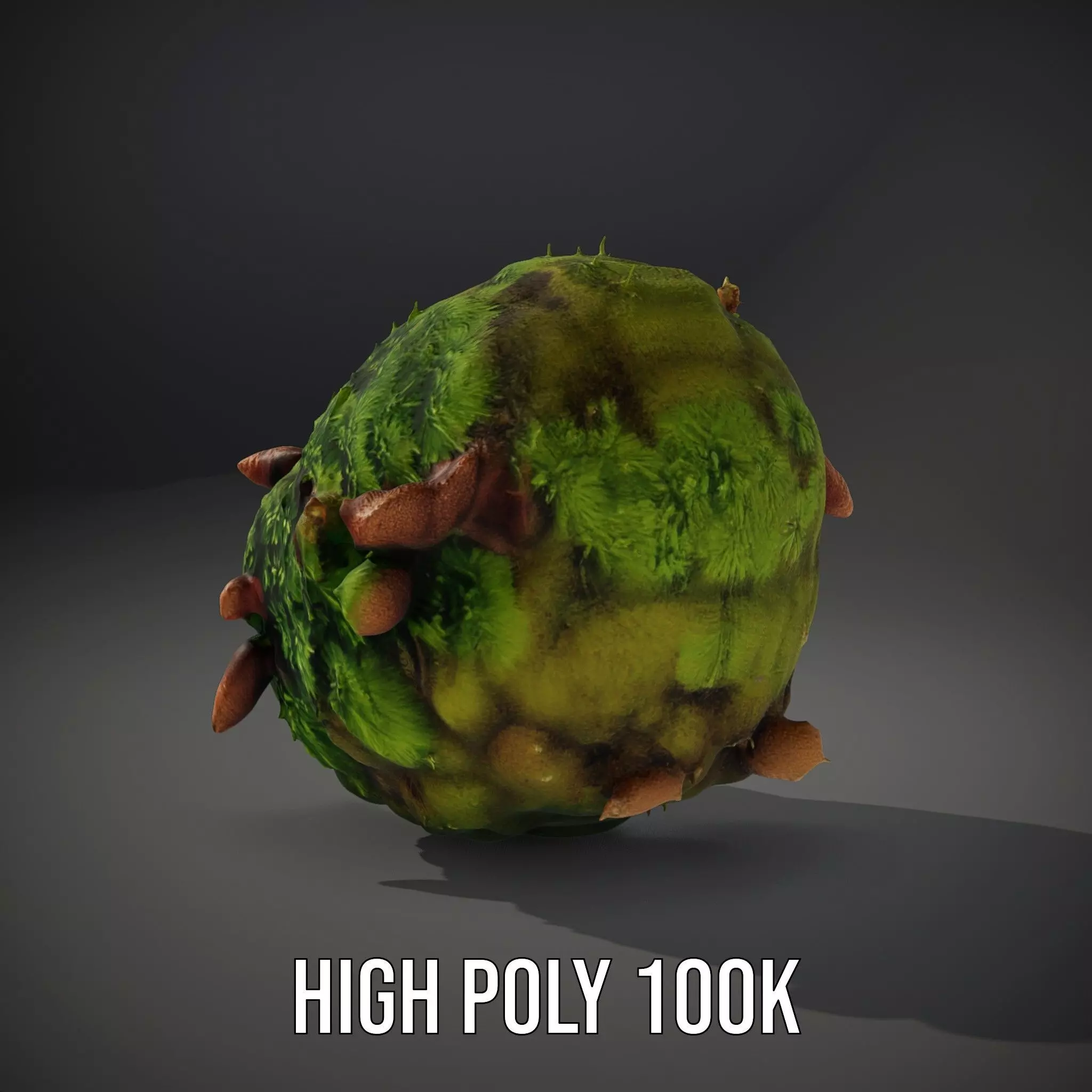 Lush Forest Moss model pack Low-poly 3D model_9