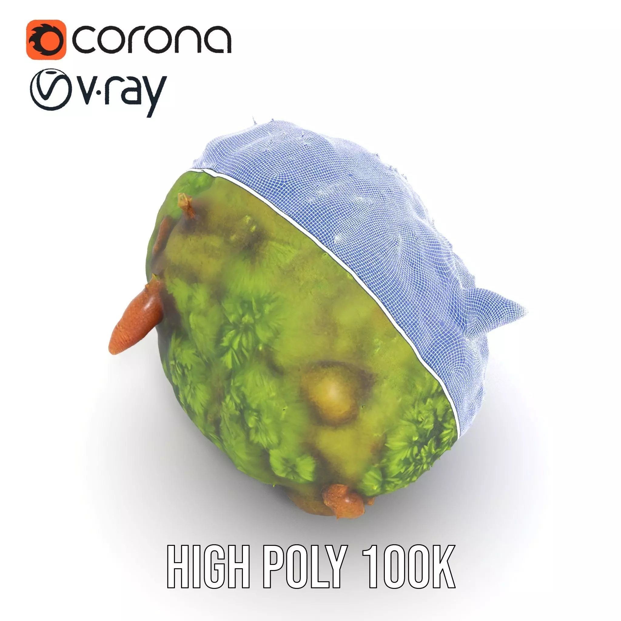 Lush Forest Moss model pack Low-poly 3D model_33