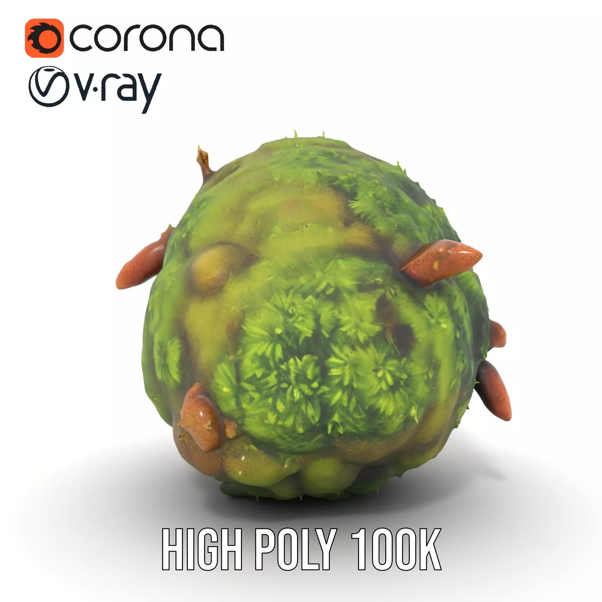 Lush Forest Moss model pack Low-poly 3D model_18