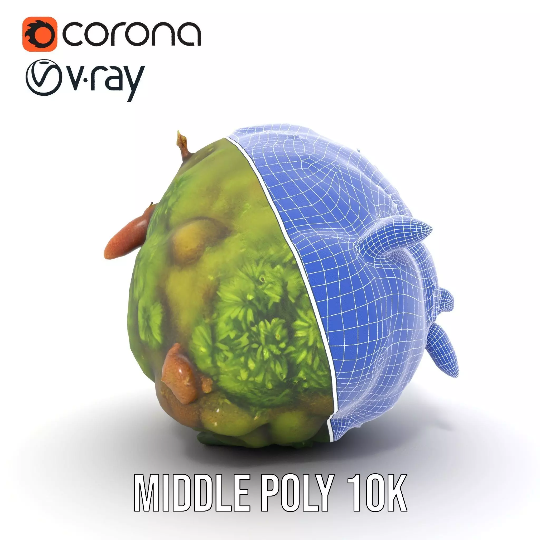 Lush Forest Moss model pack Low-poly 3D model_30