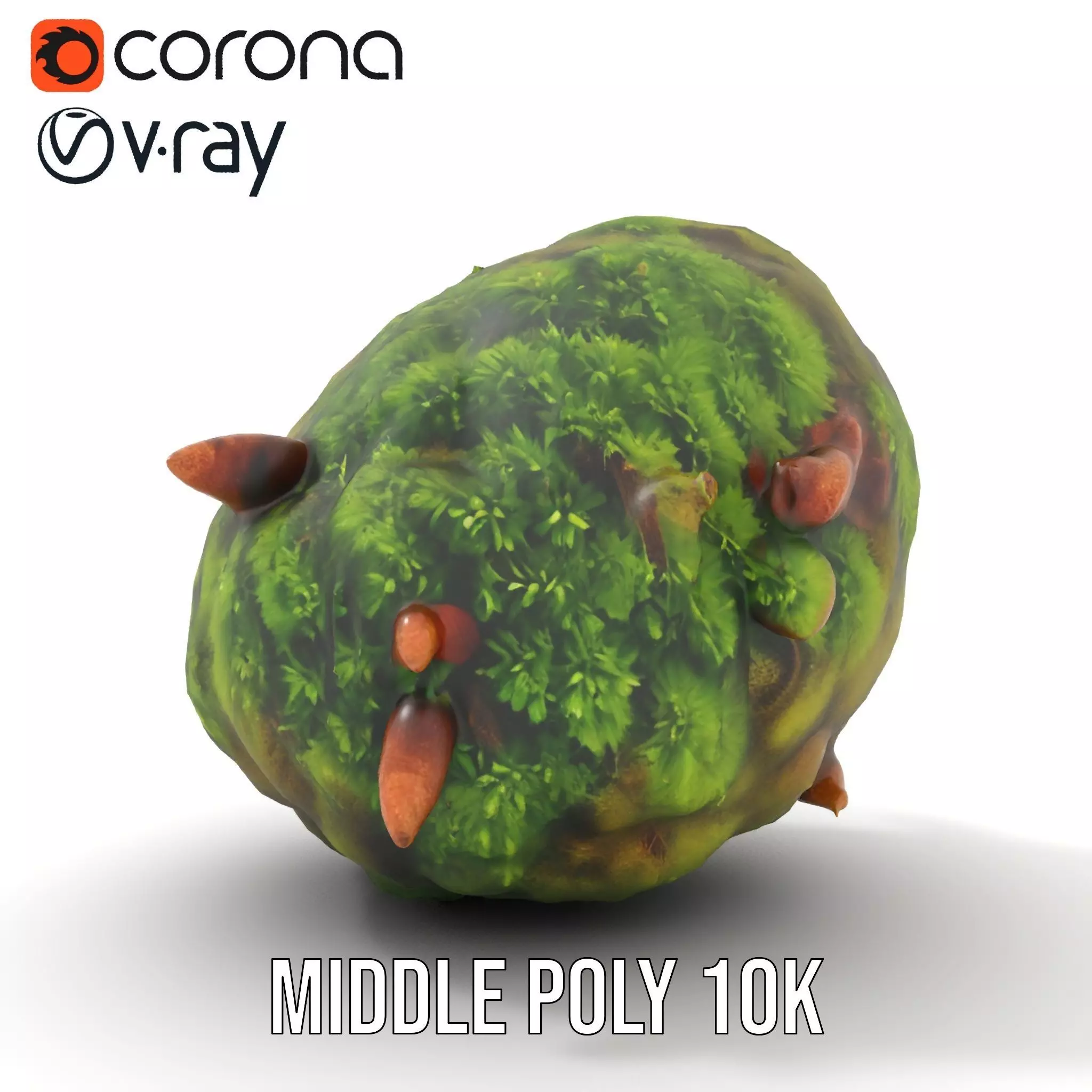 Lush Forest Moss model pack Low-poly 3D model_13